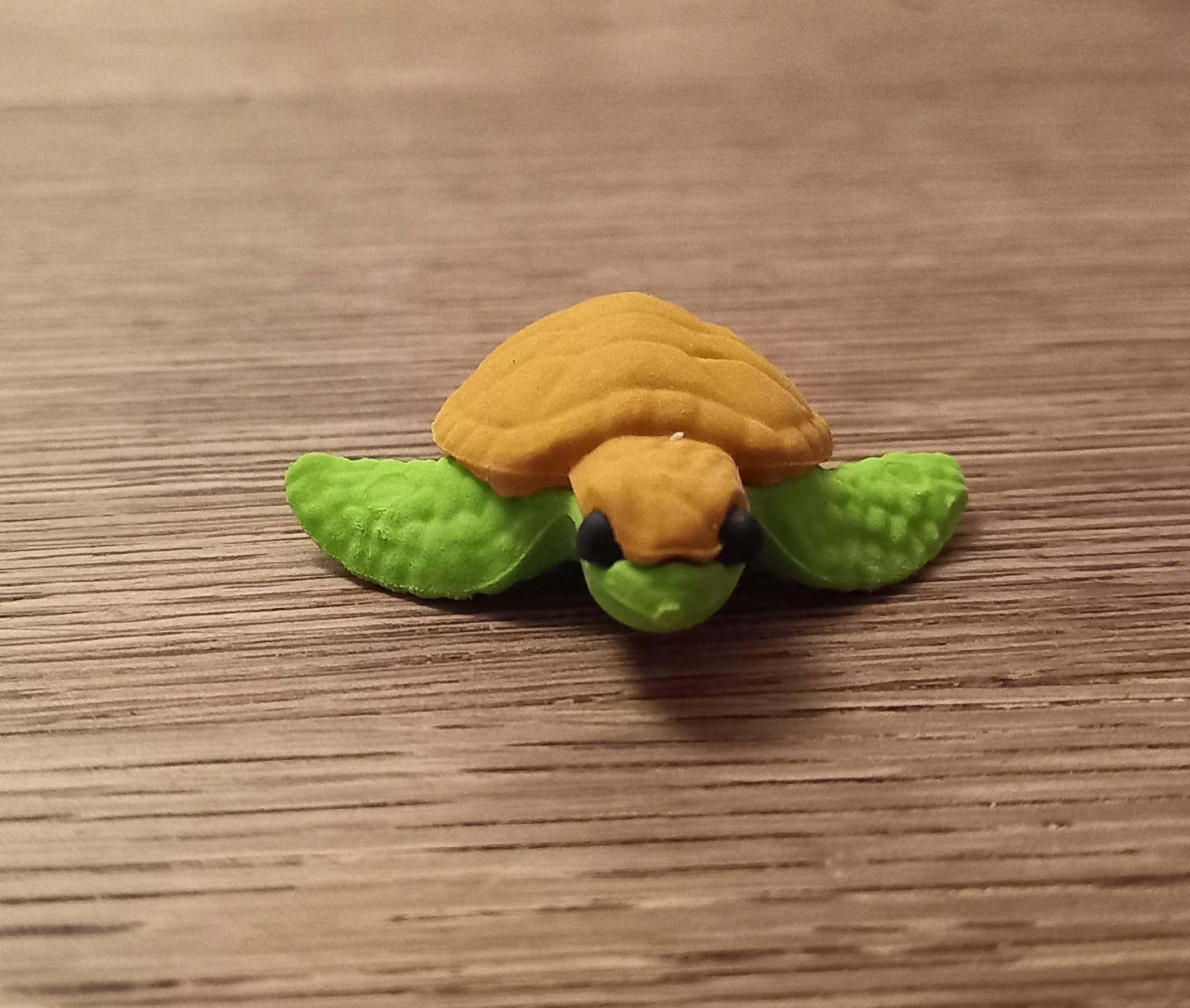 troc de troc gomme "tortue". reservee. image 0