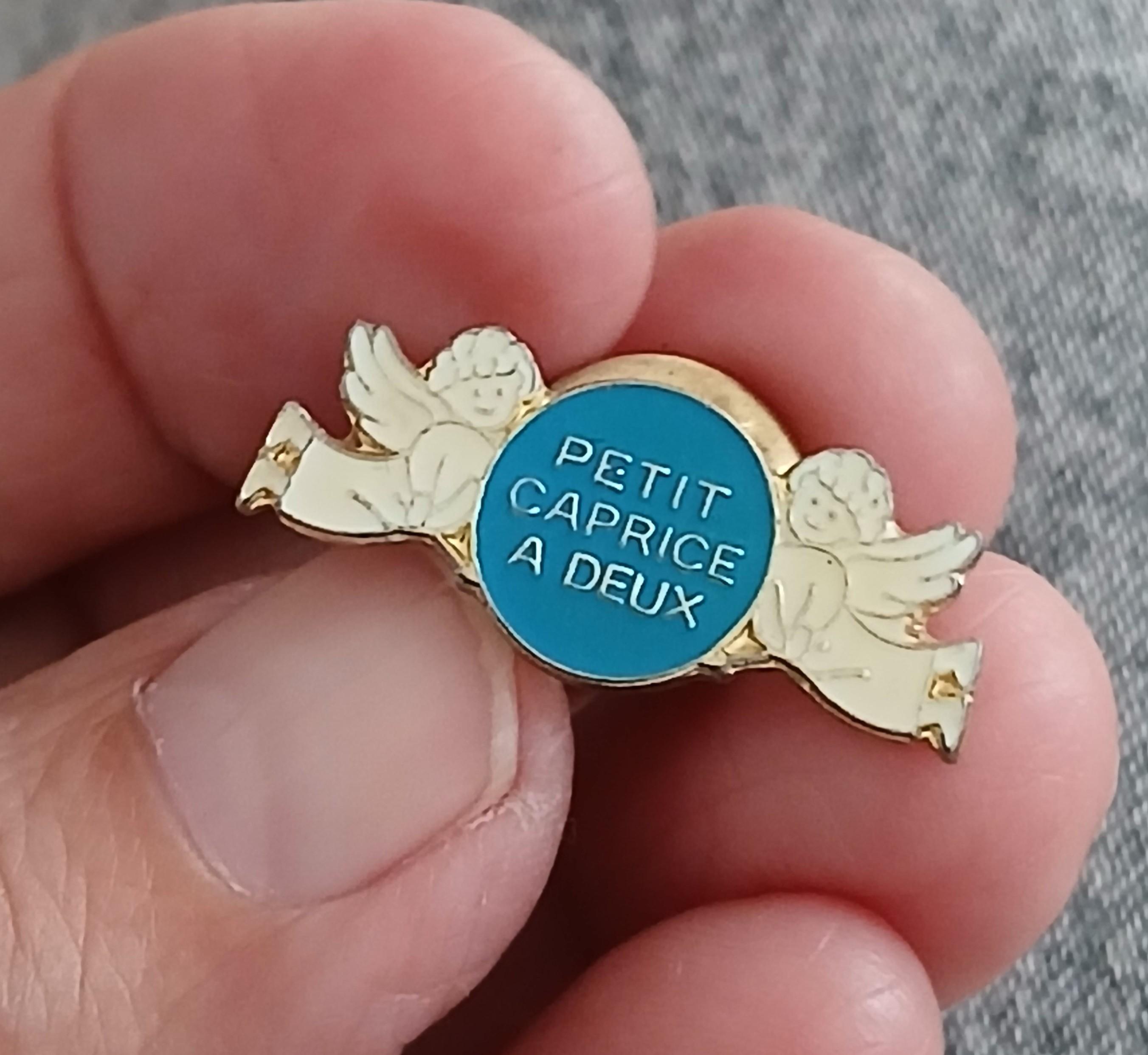 troc de troc un pins image 0