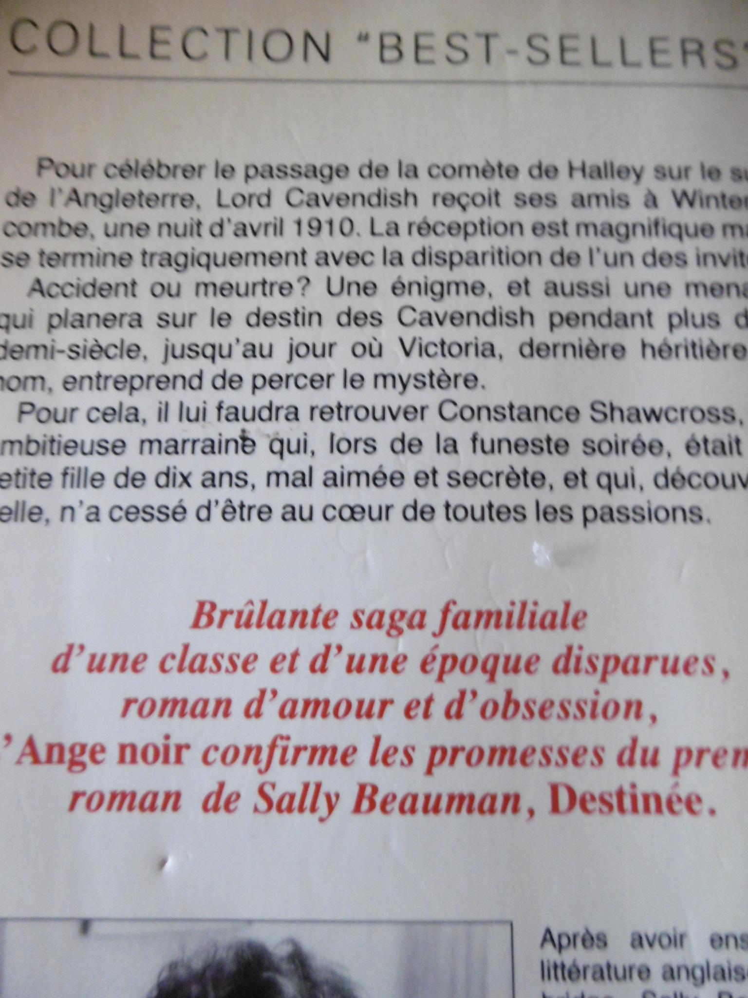 troc de troc l ange noir sally beauman image 1