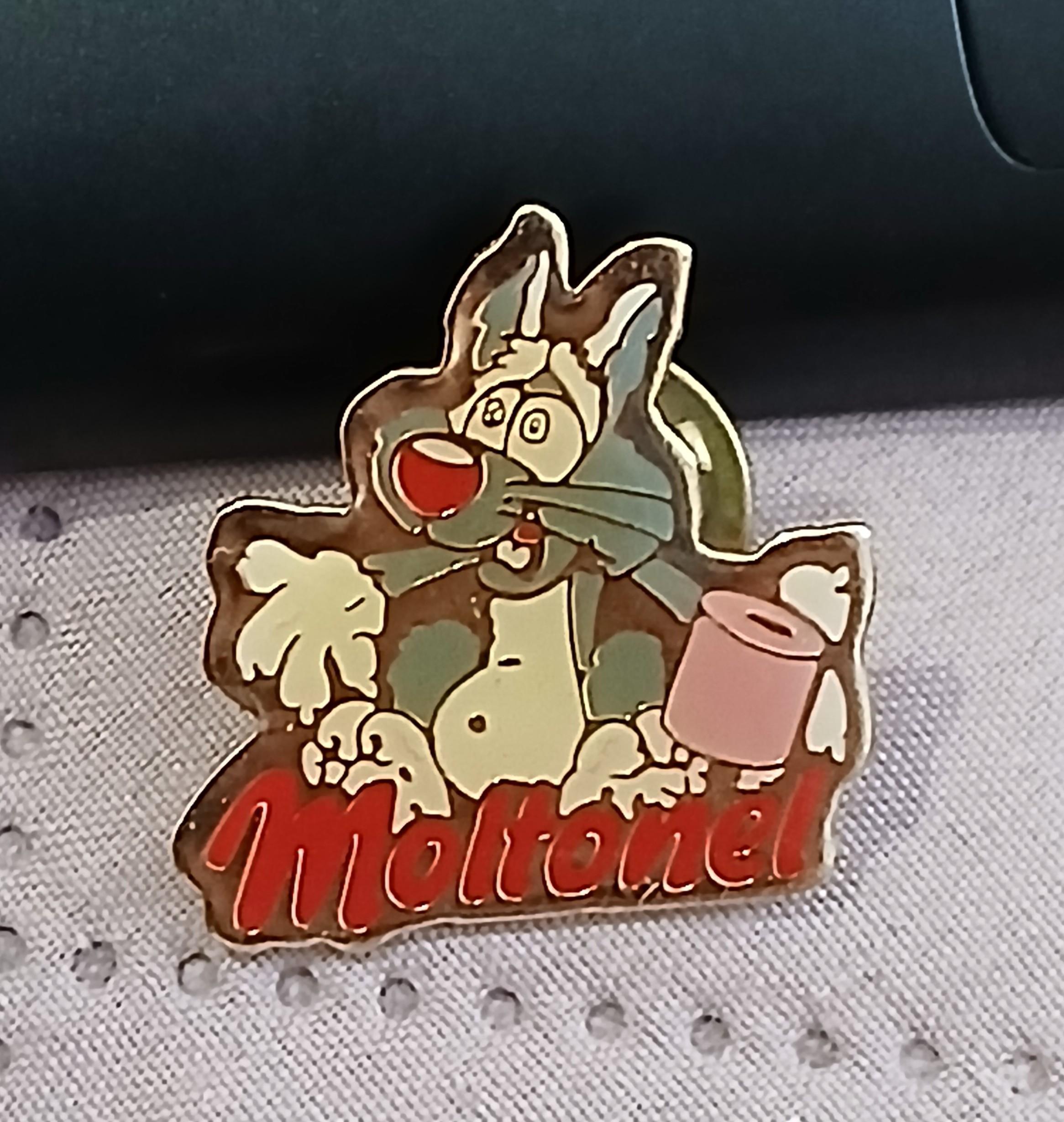 troc de troc pins " moltonel " image 1