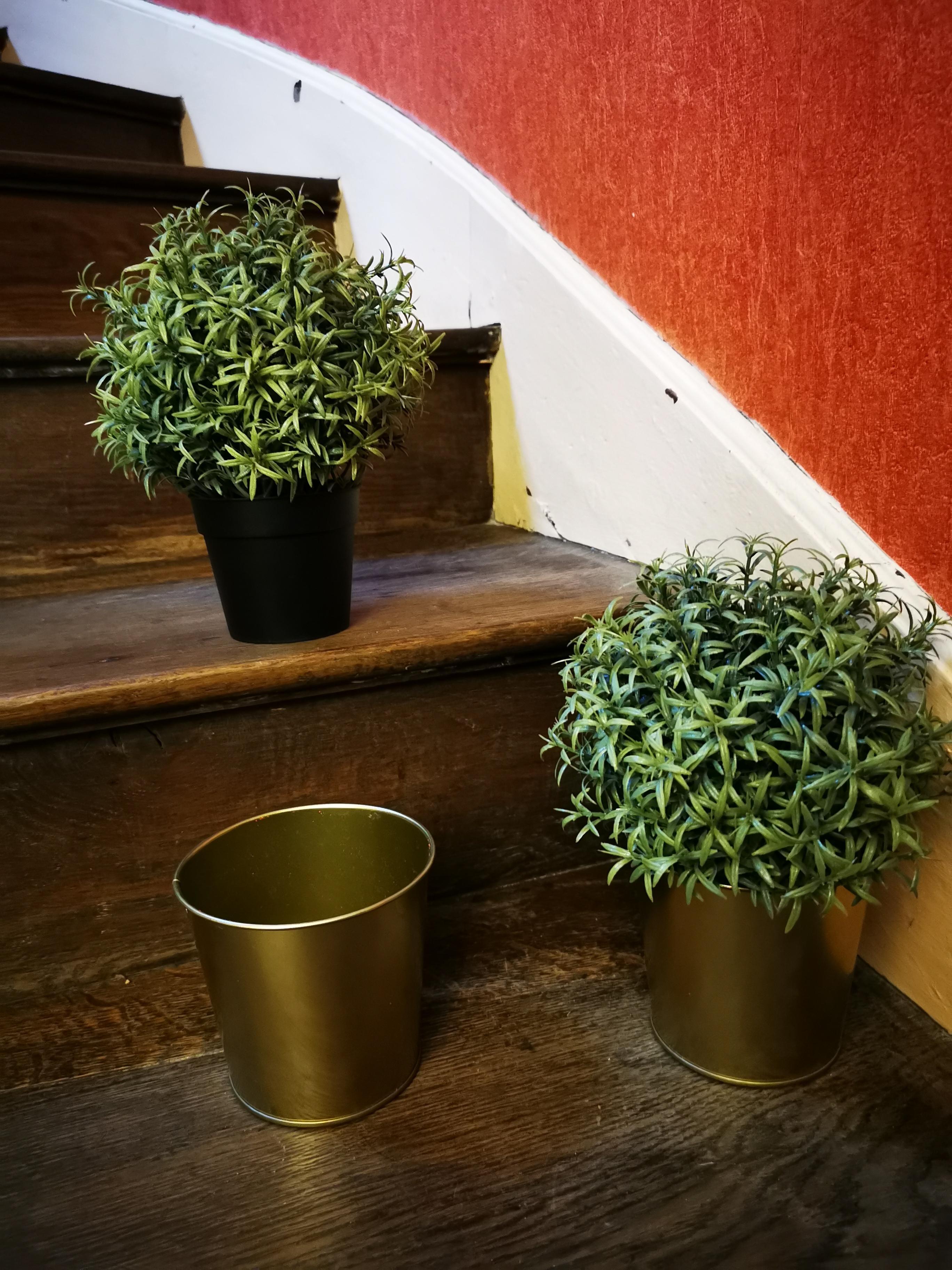 troc de troc pots fleurs et plantes artificielles image 1