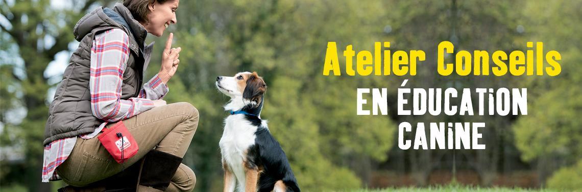 troc de troc cours d'agility & education canine image 1