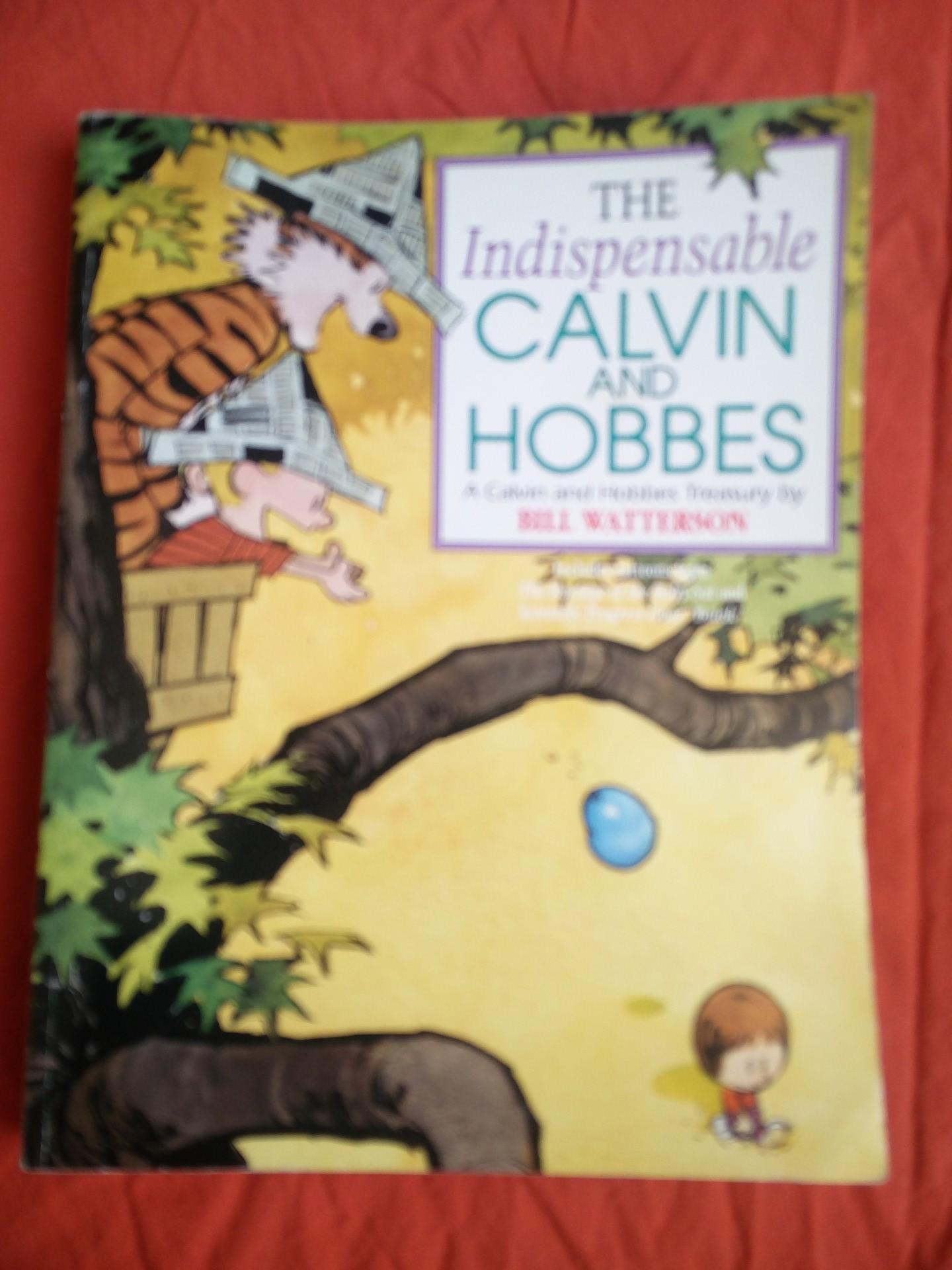 troc de troc the indispensable calvin and hobbes image 0