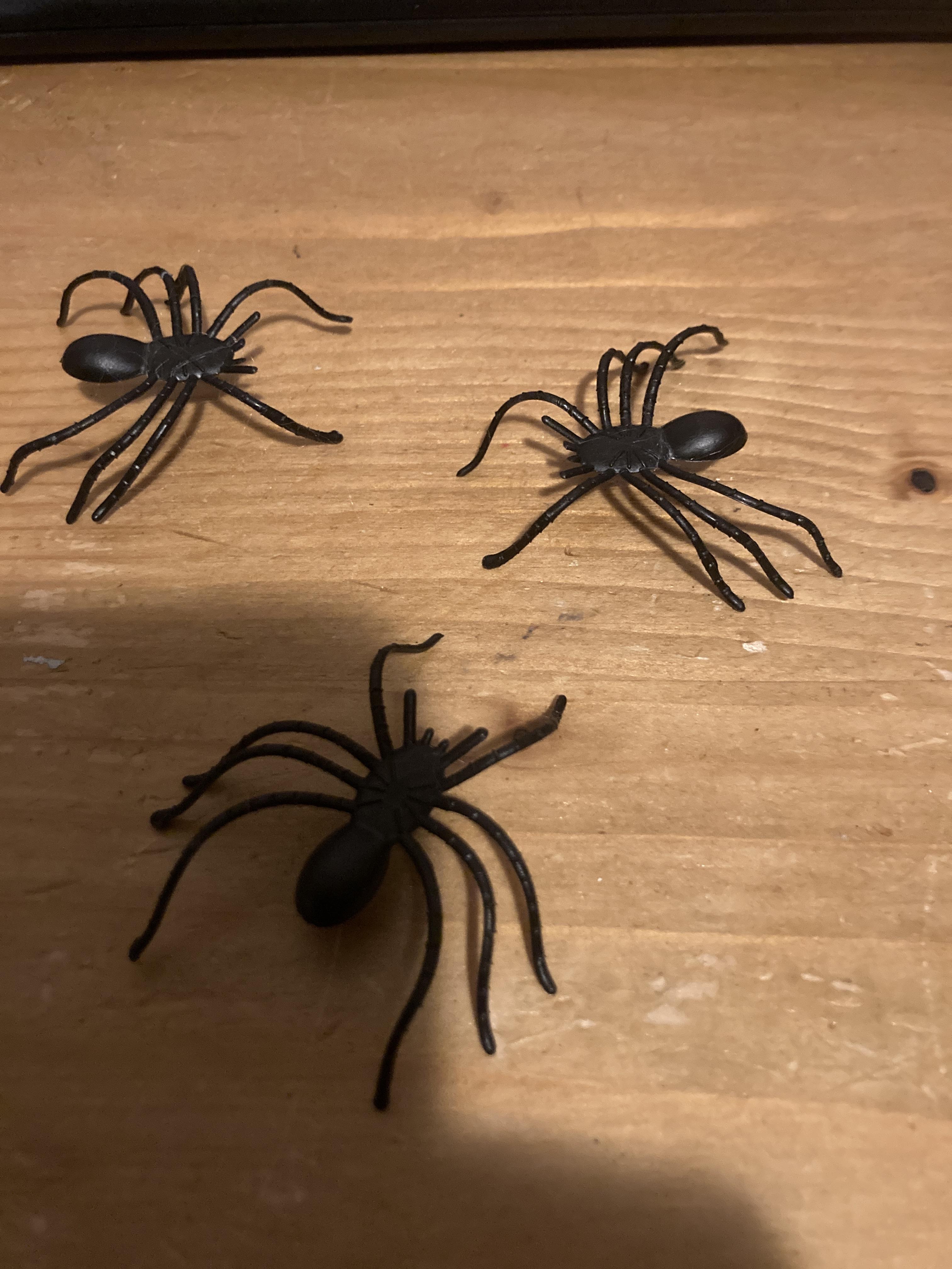 troc de troc 5 araignées en plastique image 0