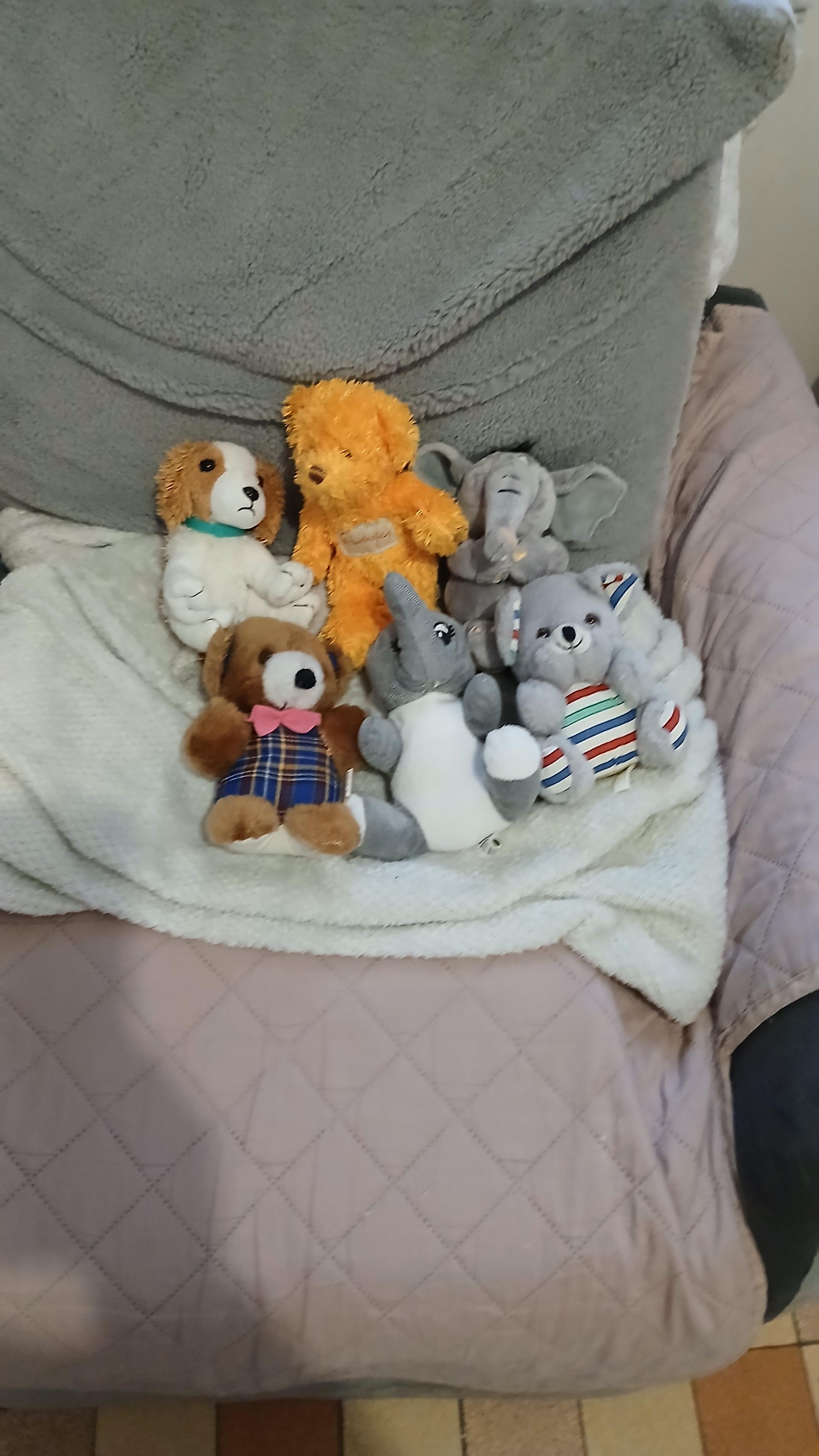 troc de troc lots de peluches image 0