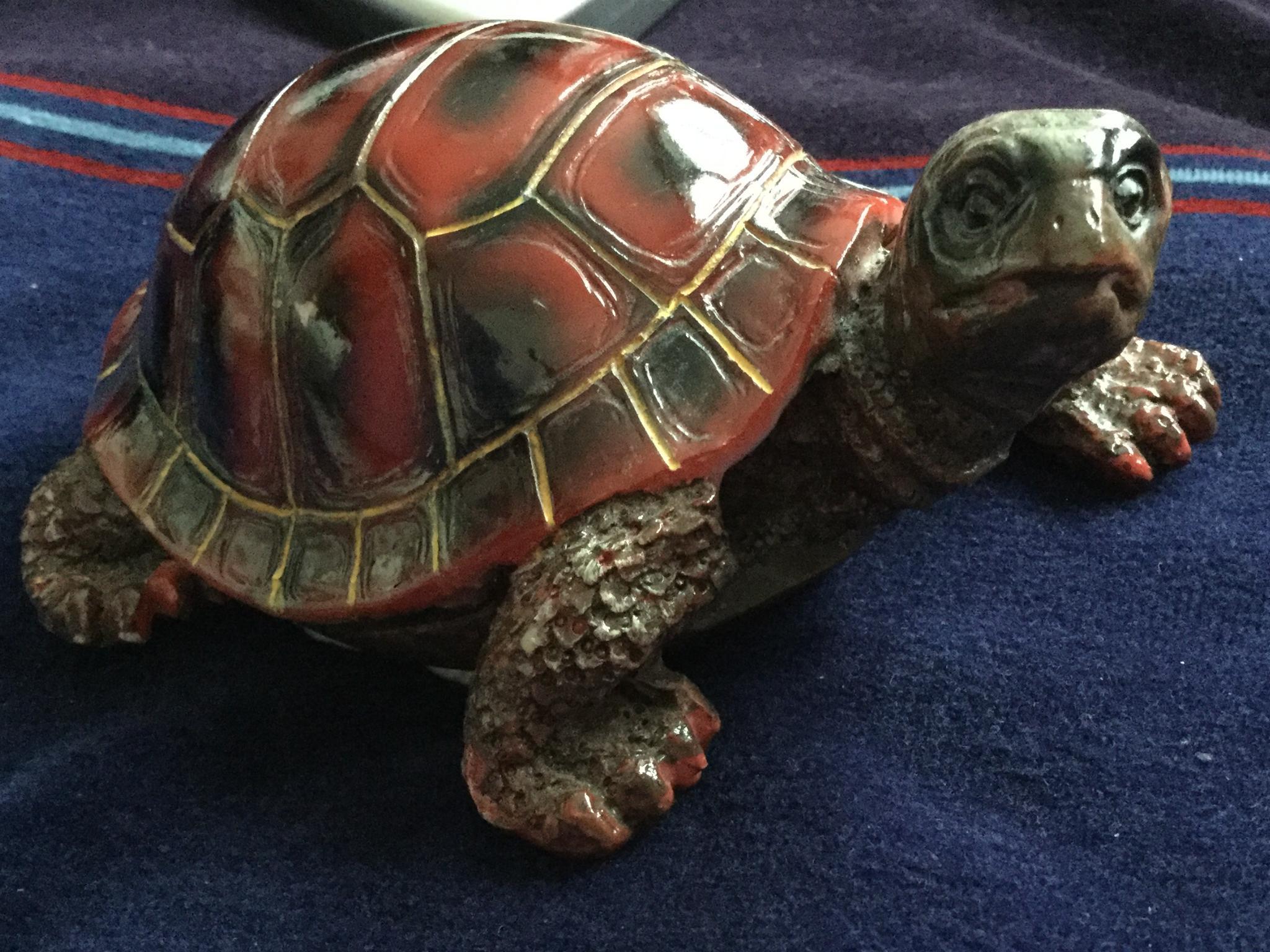 troc de troc tortues image 1