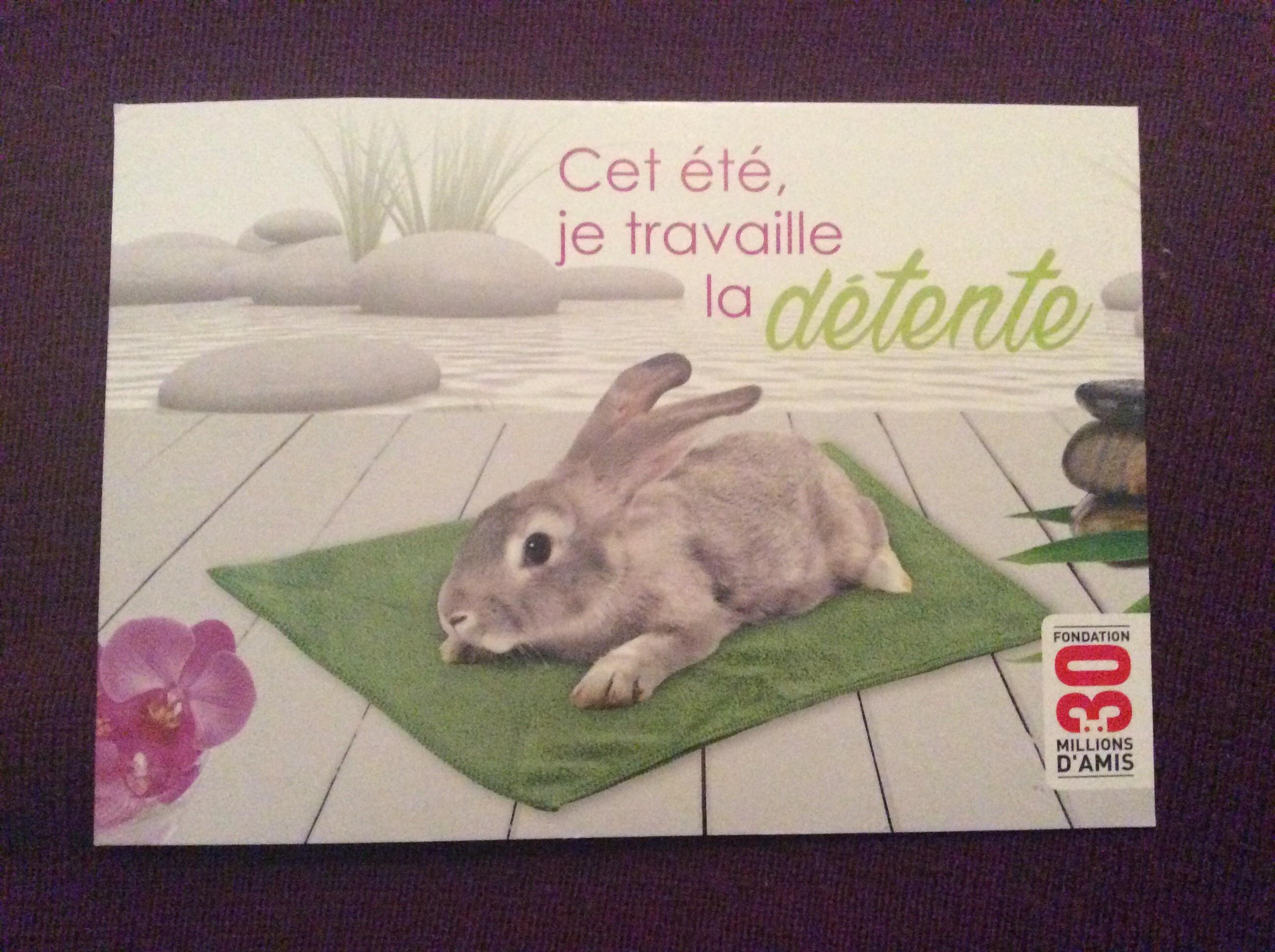 troc de troc carte postale 30 millions d’amis lapin image 0