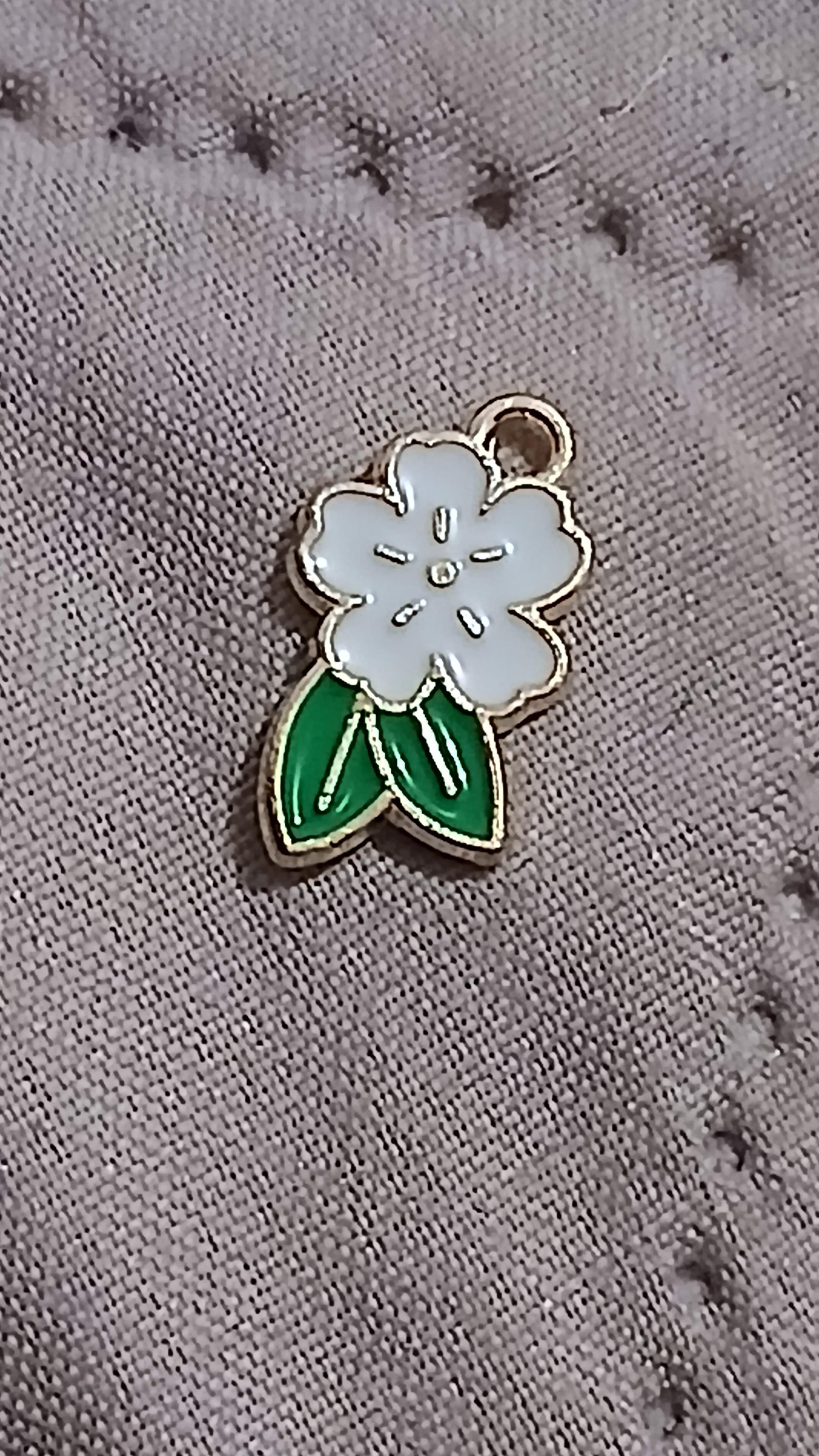 troc de troc reserver troqueuse  médaille image 0