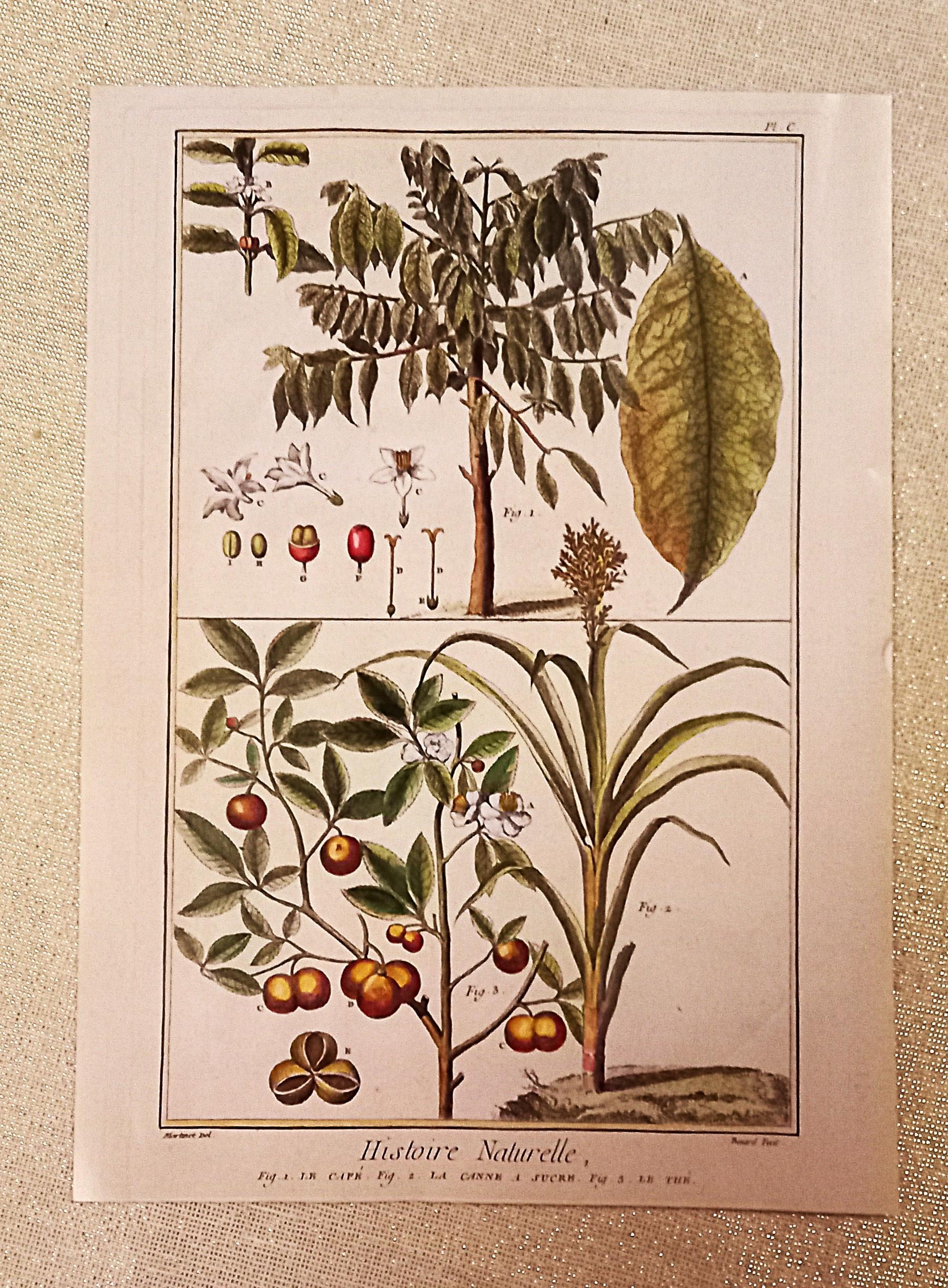 troc de troc affiche recto/verso. image 1