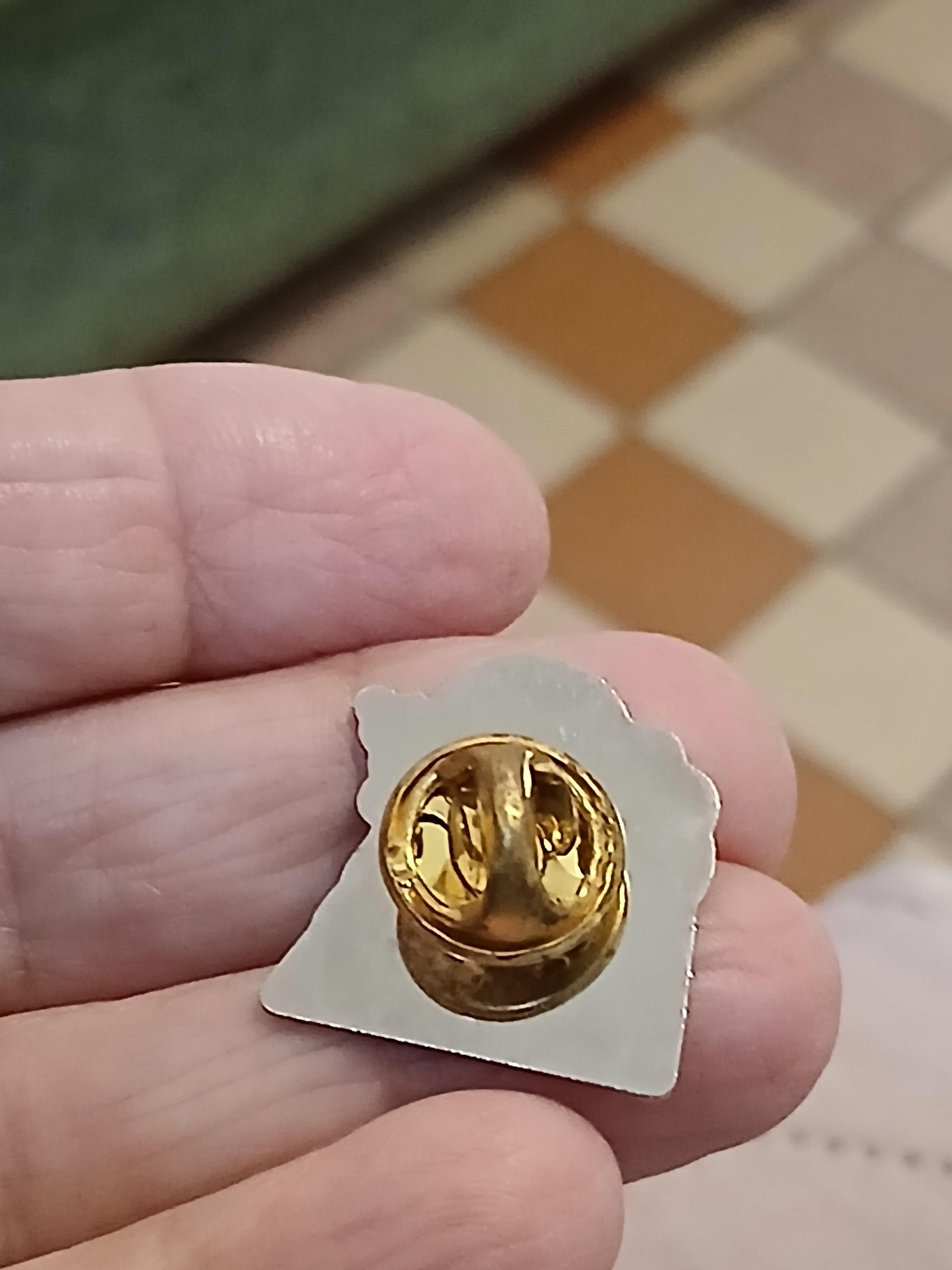 troc de troc reserver sophie un pins image 2
