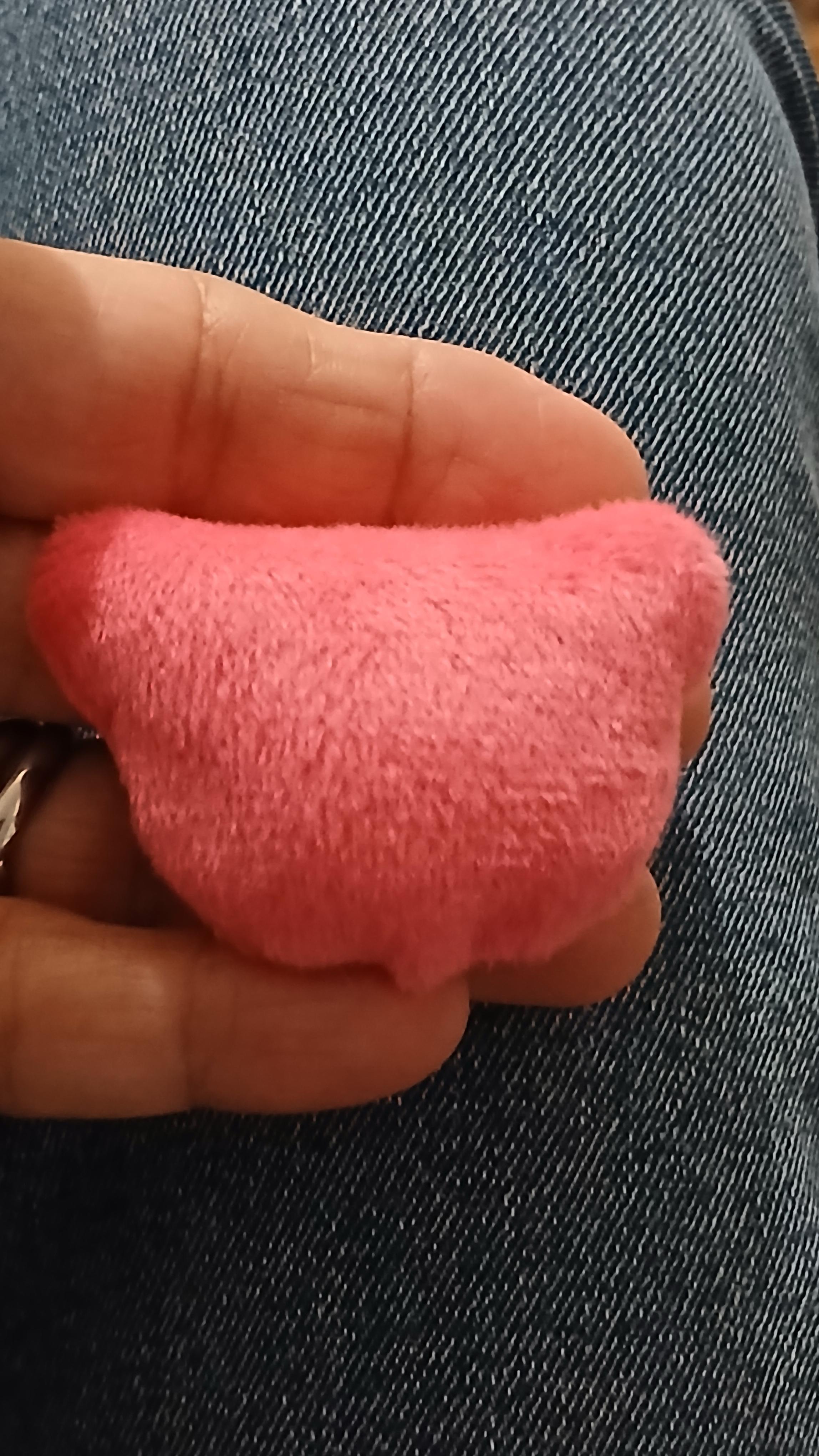 troc de troc petite peluche image 1