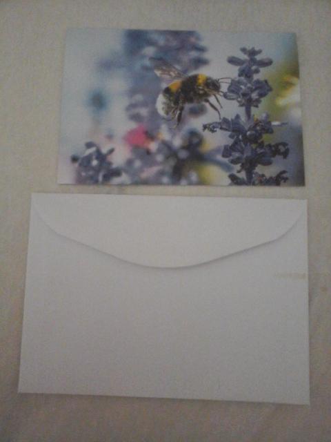 troc de troc carte abeille butinant fleurs & son enveloppe blanche image 1