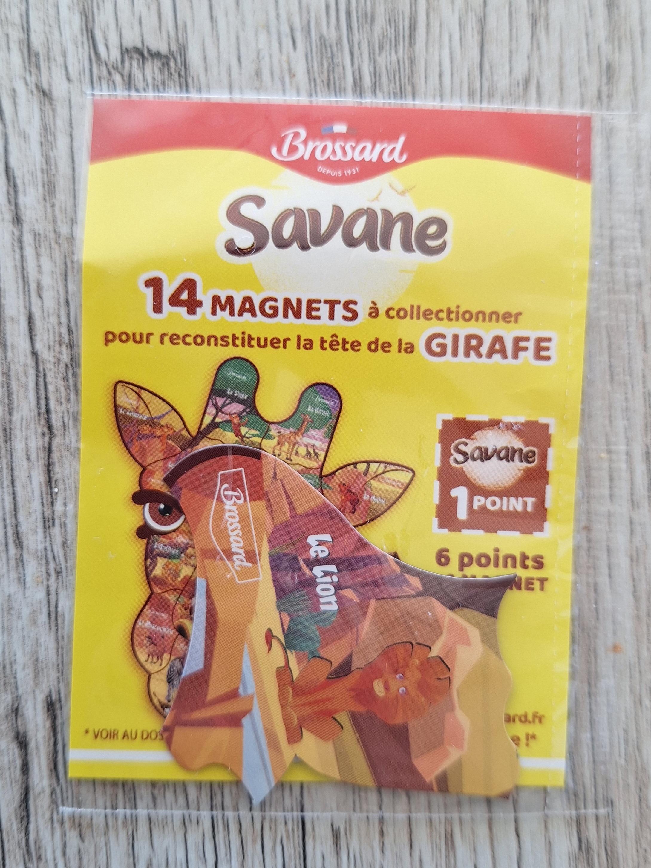 troc de troc reserve - magnet savane - le lion image 0