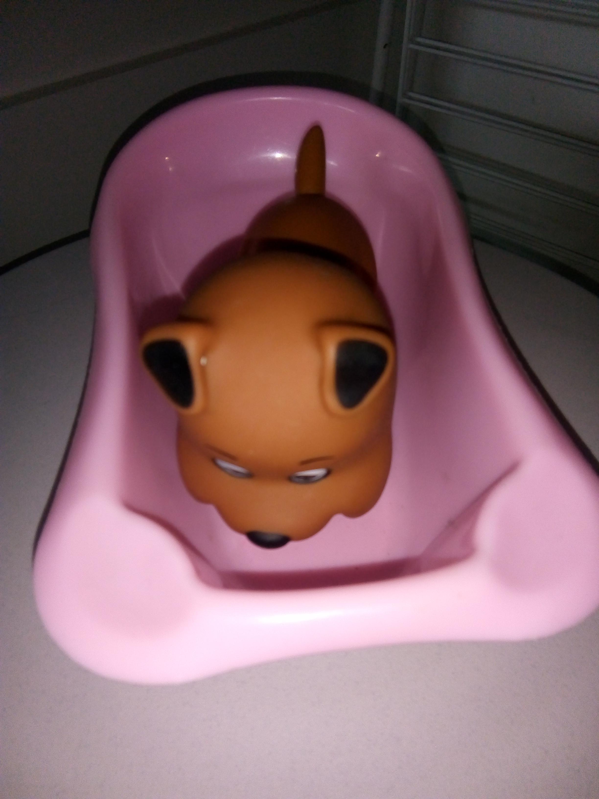 troc de troc un petit chien dans son bain image 0