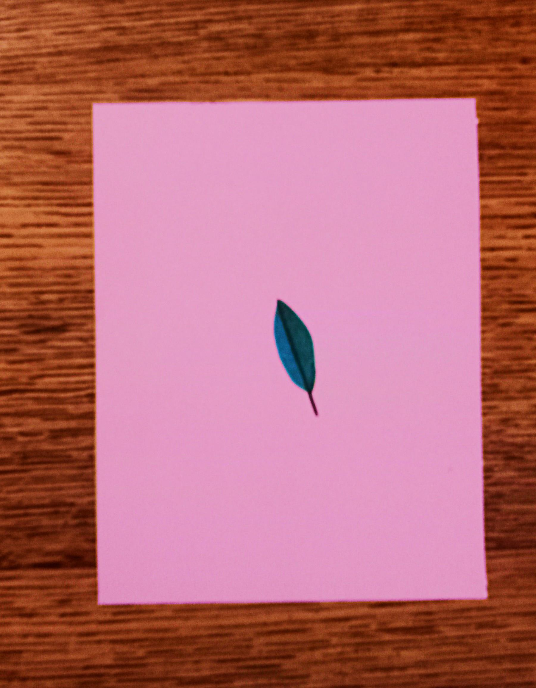 troc de troc carte "feuille d'arbre". image 0