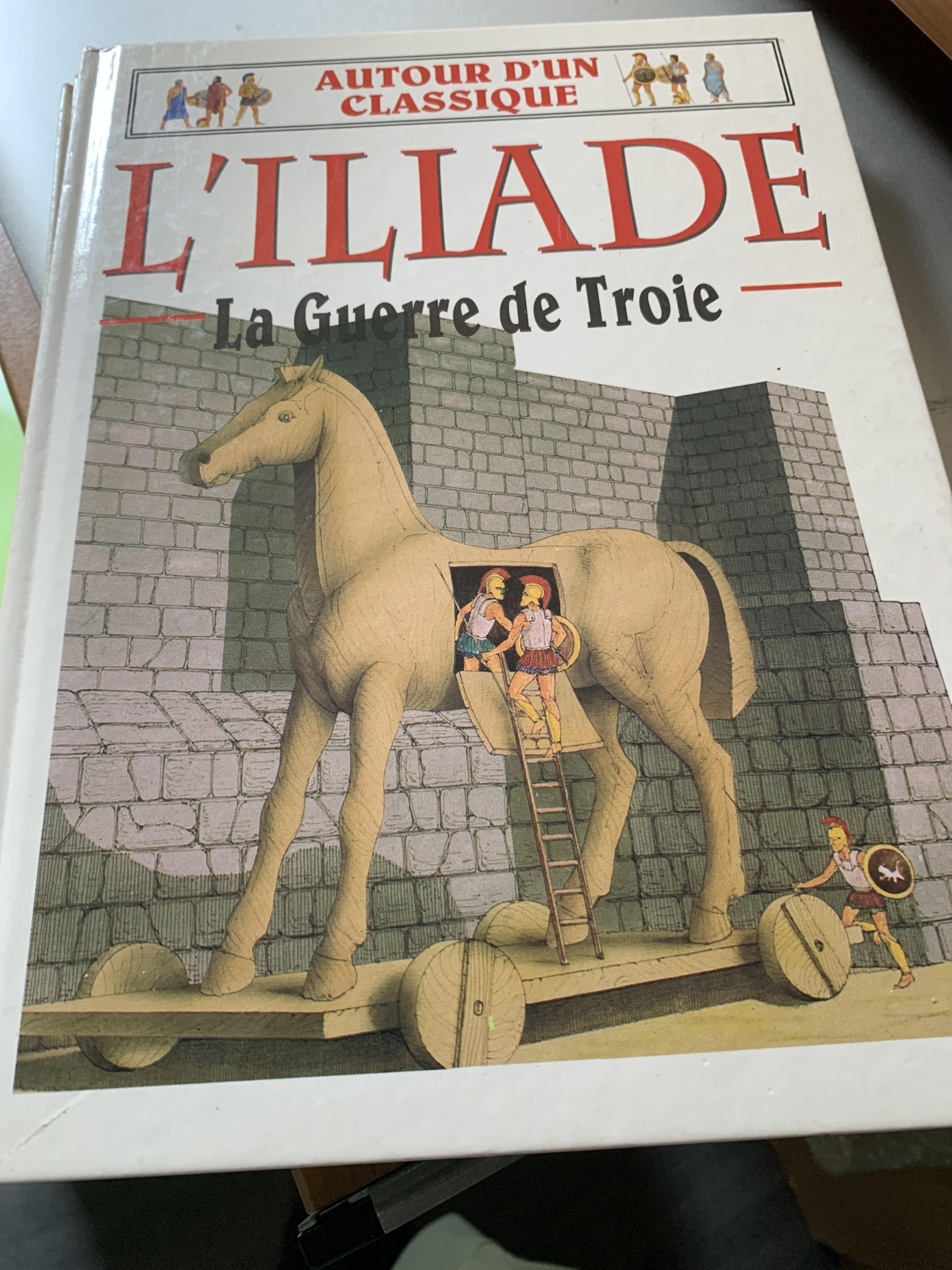 troc de troc la guerre de troie, l’iliade image 0