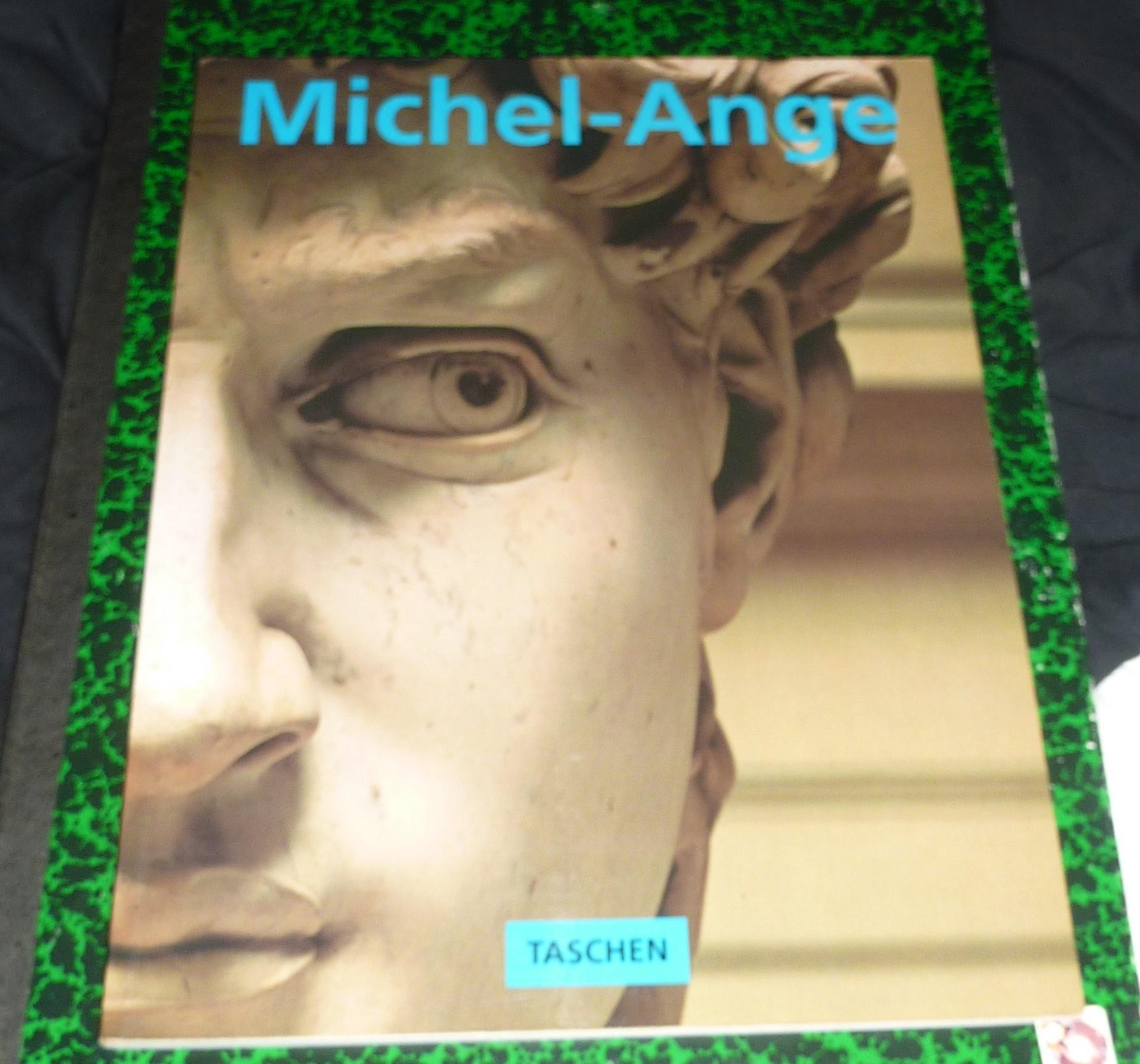 troc de troc livre michel-ange image 0
