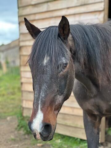 troc de troc pour vever image 0