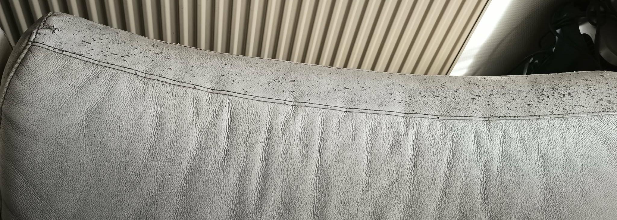 troc de troc canapé cuir blanc image 2