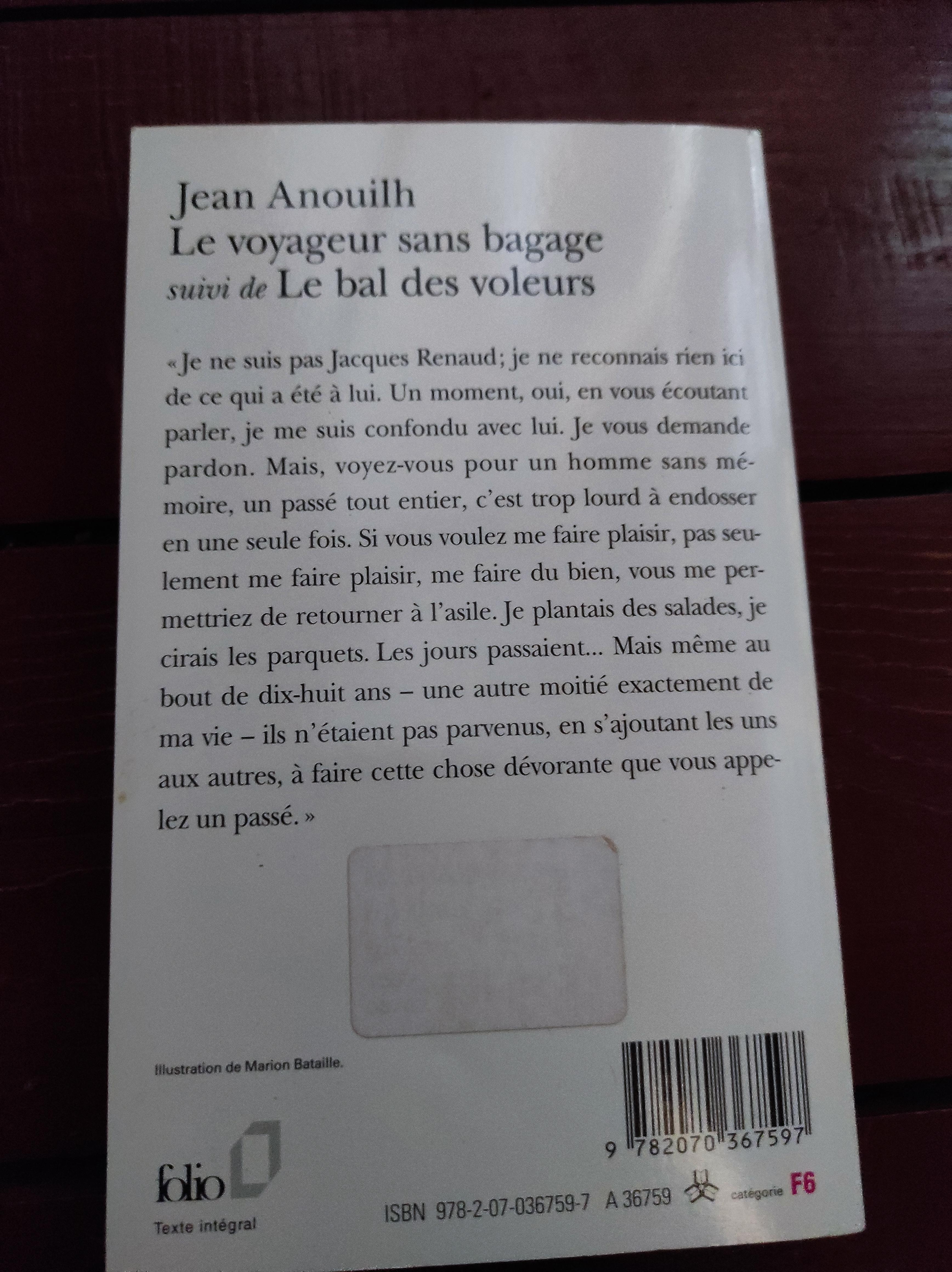 troc de troc livre le voyageur sans bagage image 1