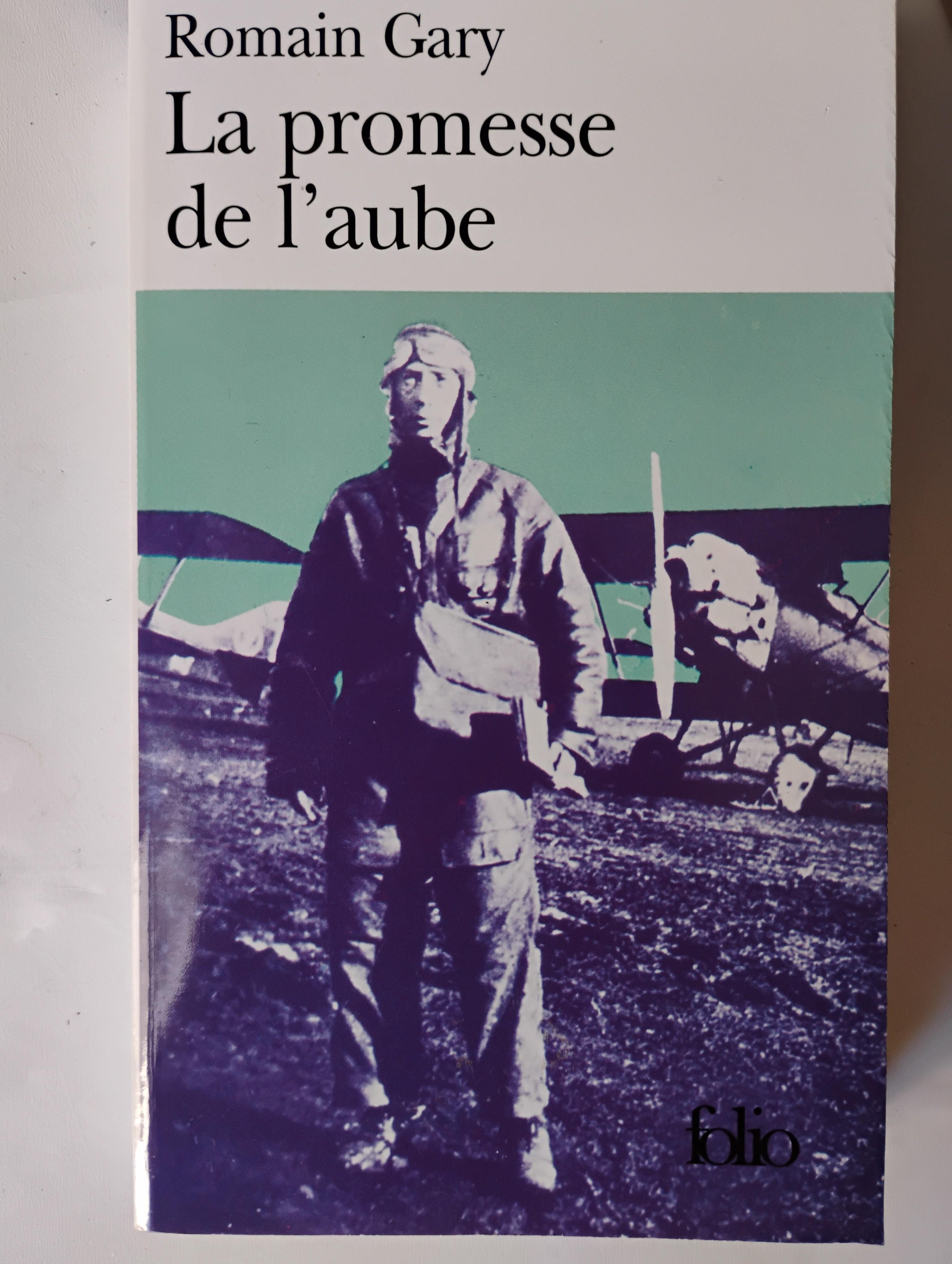 troc de troc roman la promesse de l'aube image 0