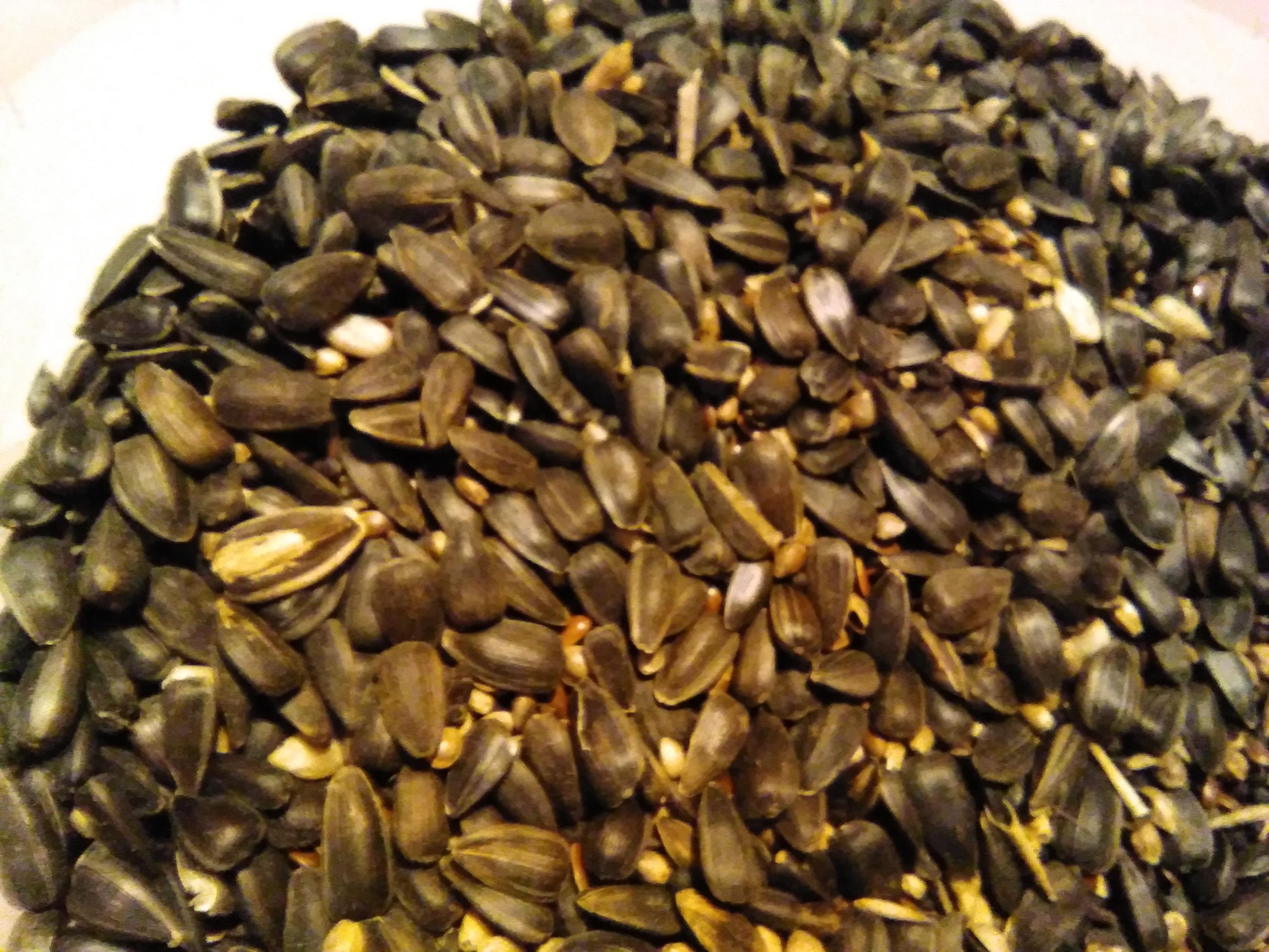 troc de troc lot pour oiseaux, bon état image 1