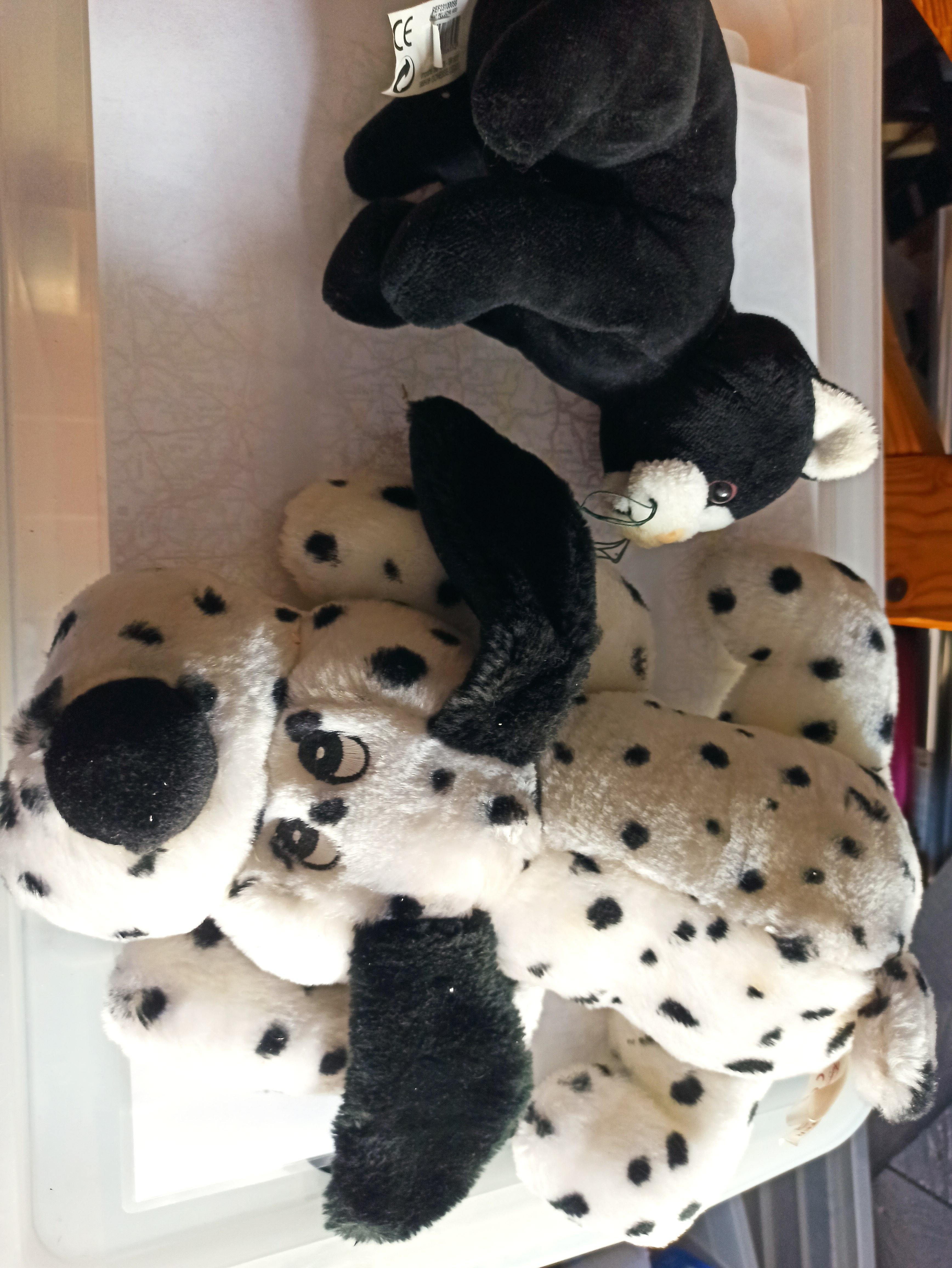 troc de troc peluche chat et chien image 0