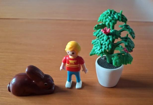 troc de troc *reserve* lot playmobil lapin enfant arbre image 0