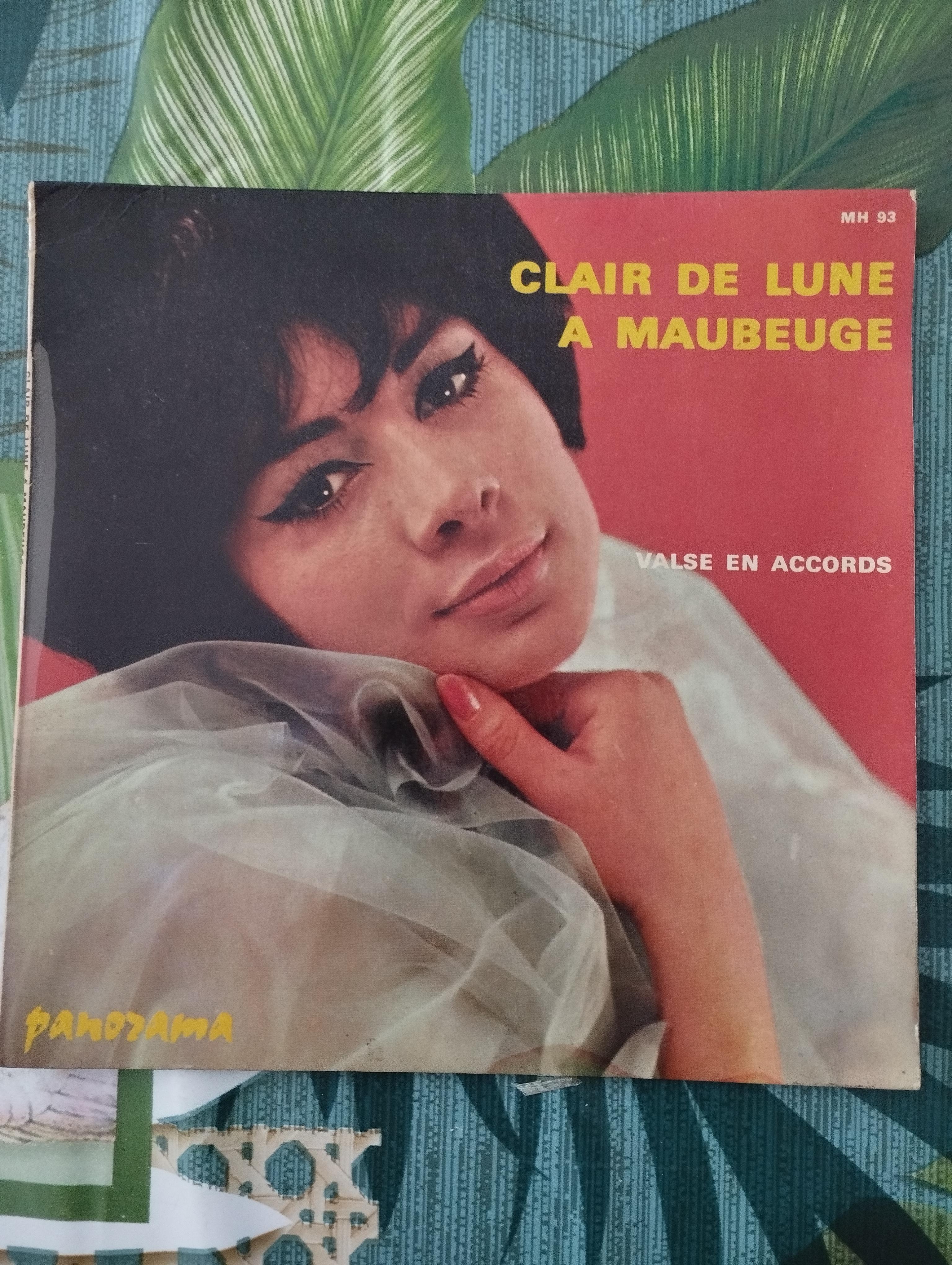 troc de troc disque vinyle 45t - clair de lune à maubeuge image 0