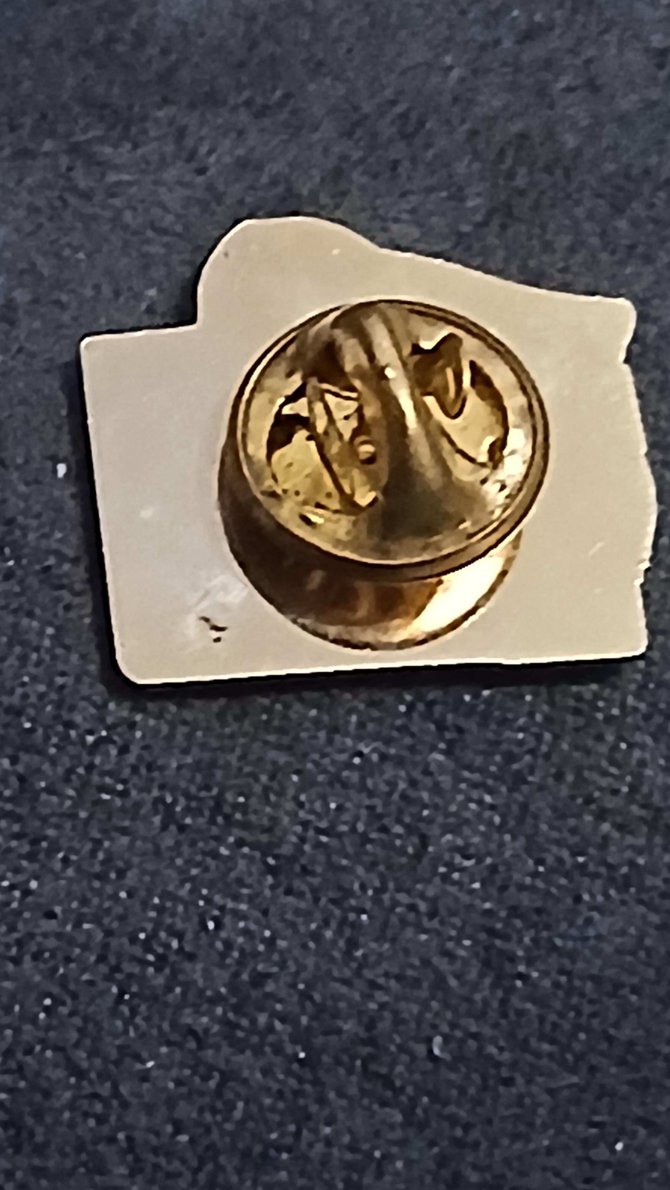 troc de troc un pins image 1