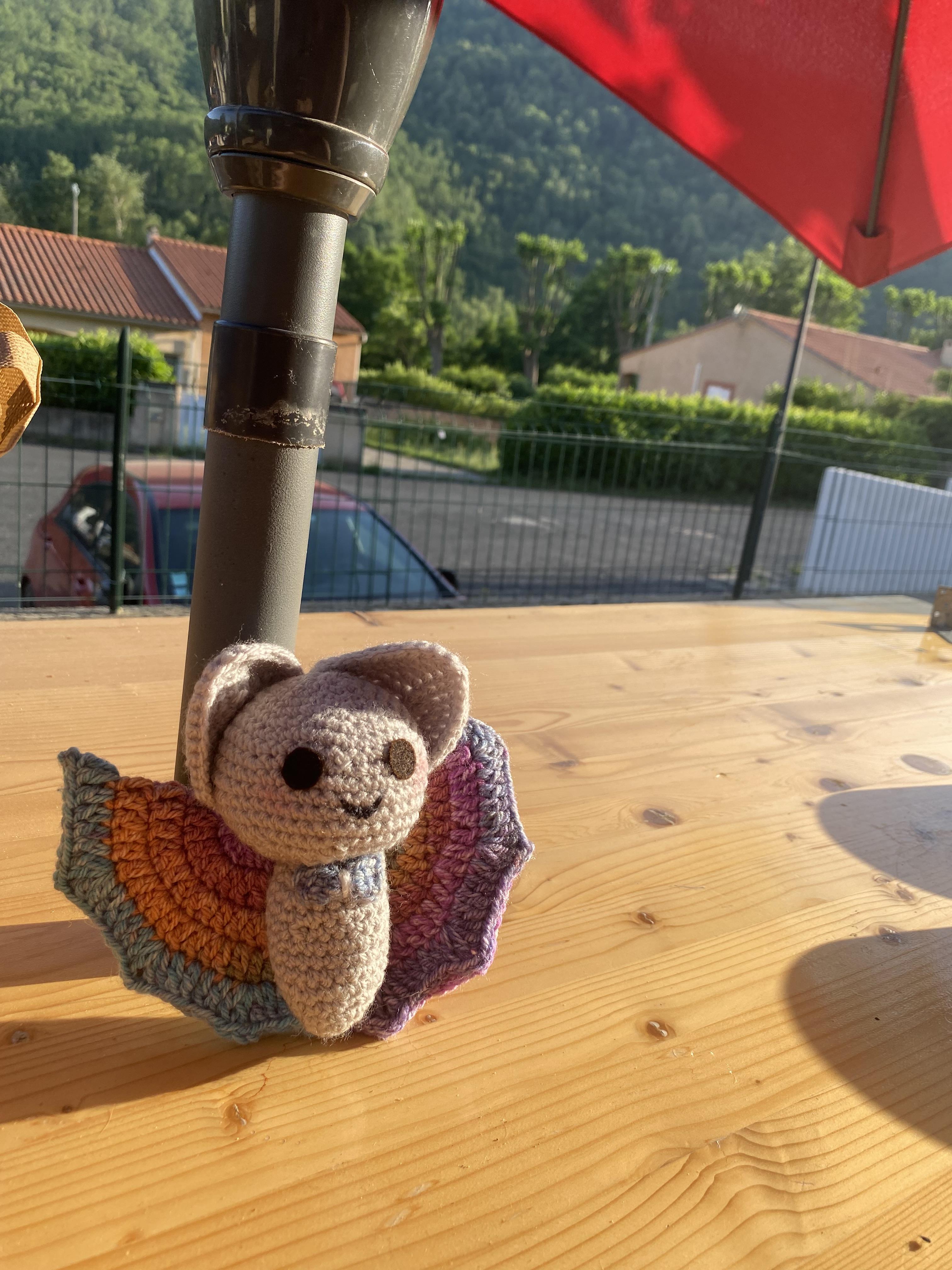 troc de troc rÉserver chauve  souris crochet image 1