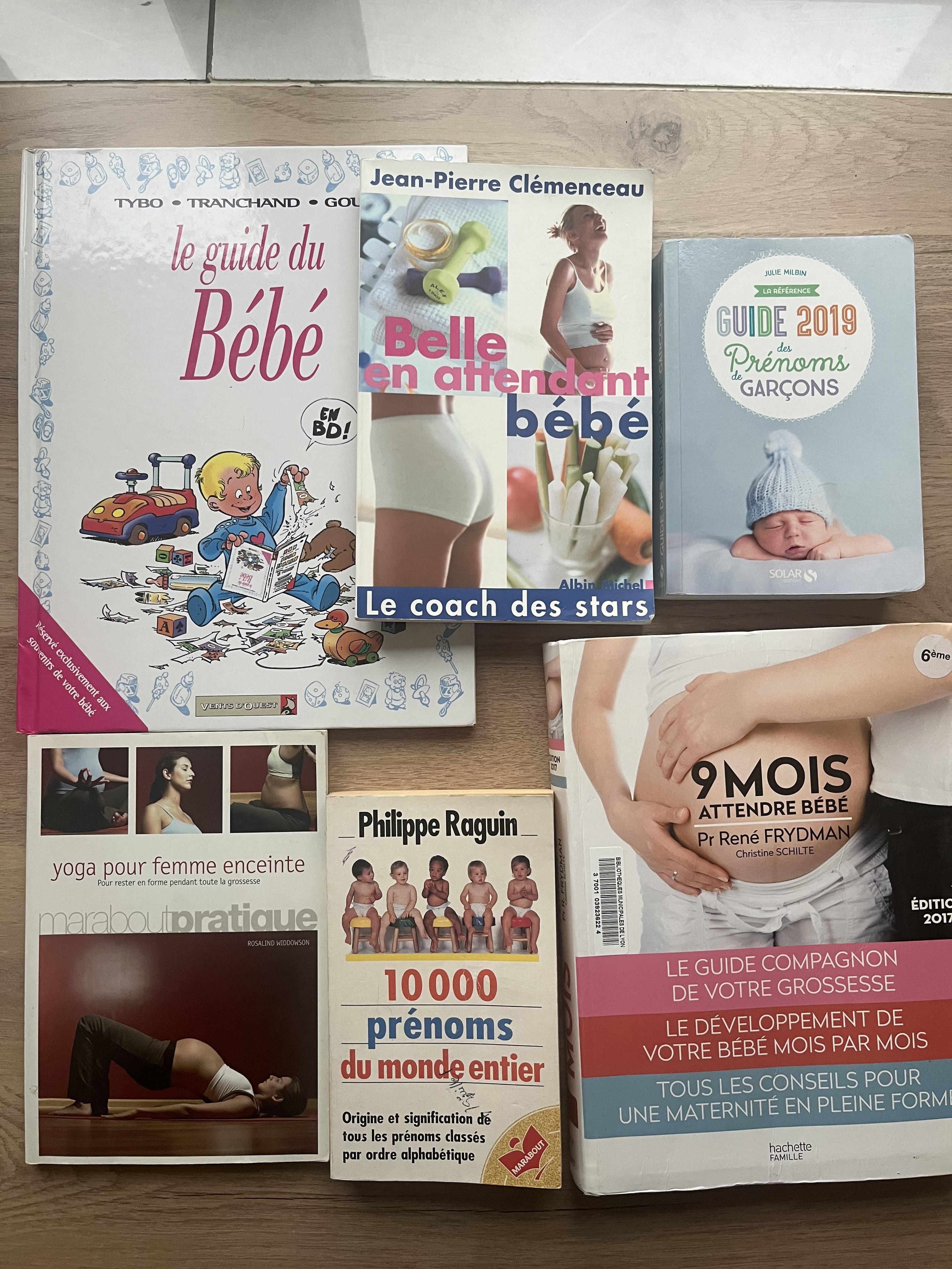 troc de troc livres sur la grossesse / maternité image 0