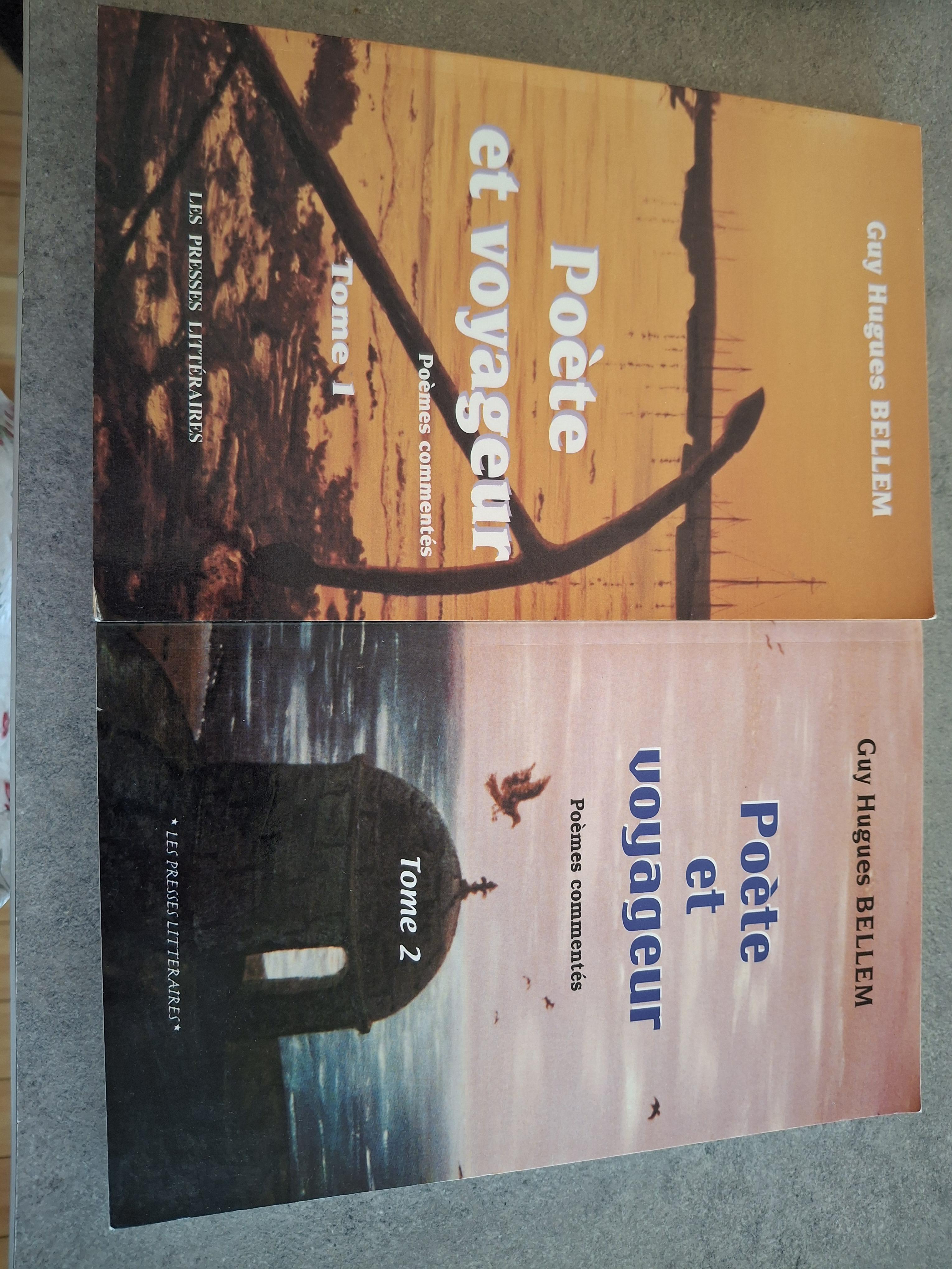 troc de troc roman en 2 volumes image 0