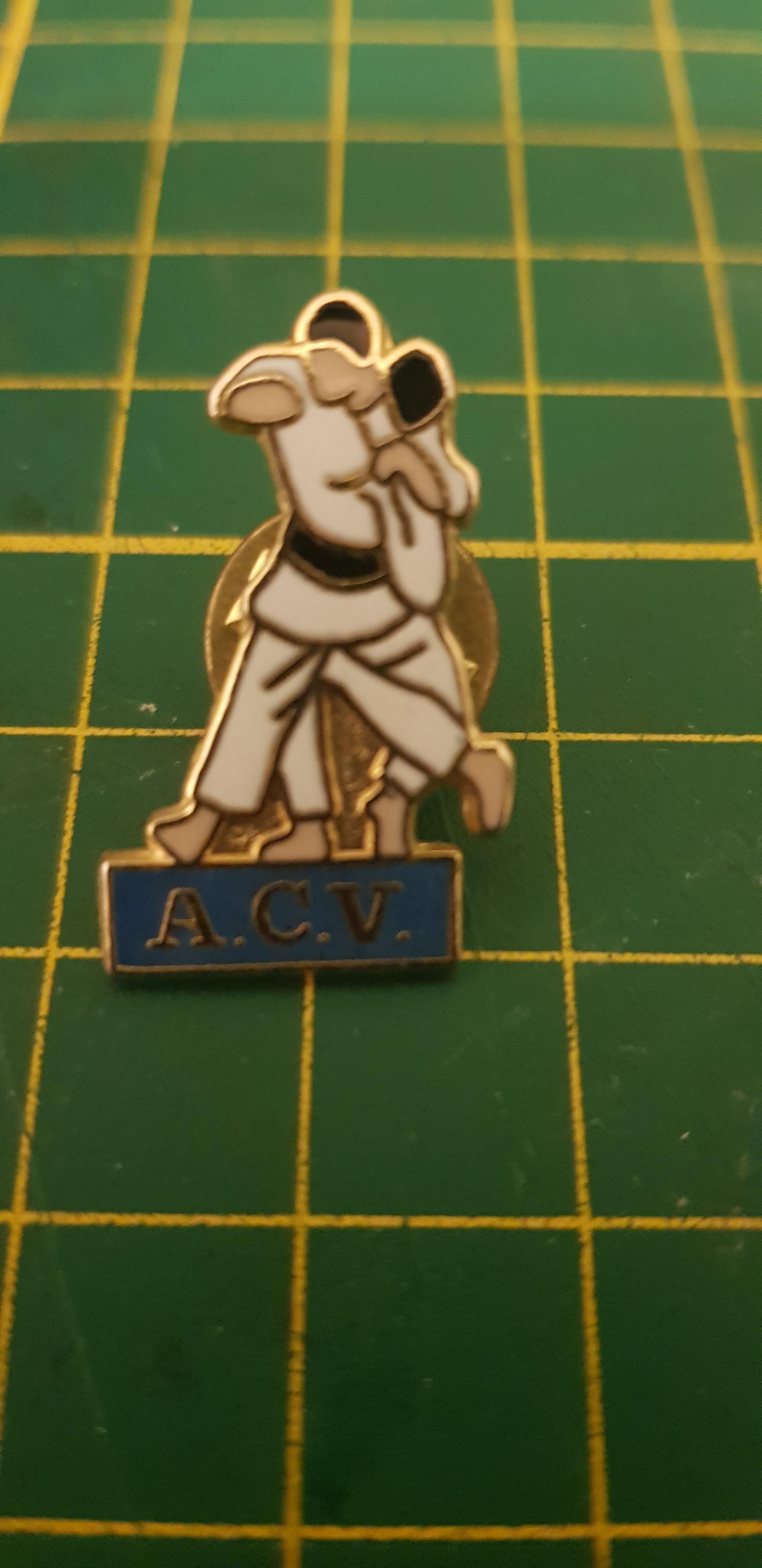 troc de troc pin s image 0