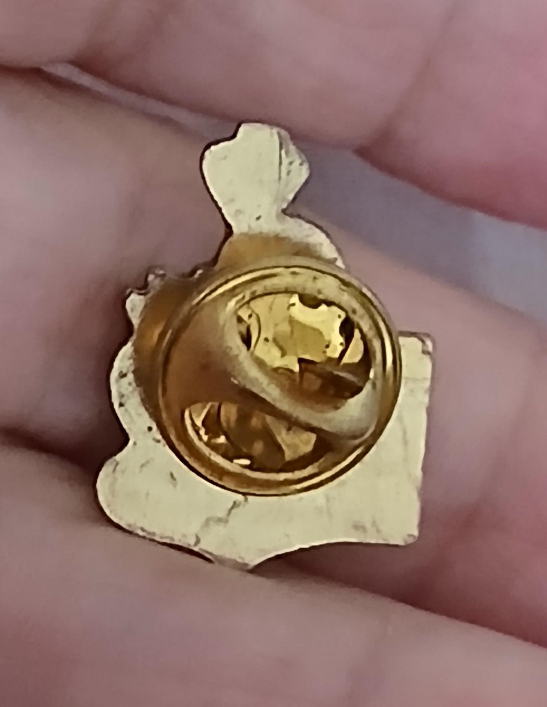 troc de troc un pins ' maggi' image 2