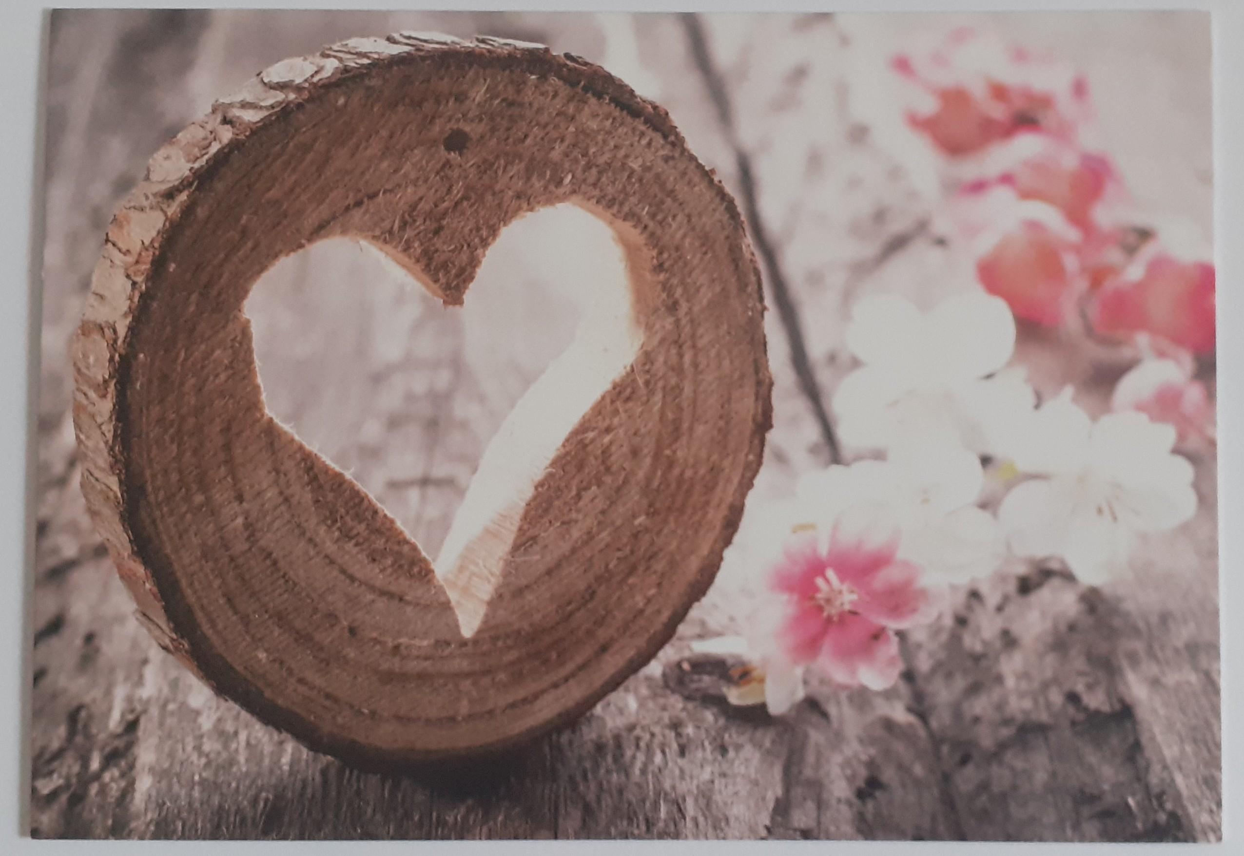 troc de troc reserve ginkgo carte postale amour 59 image 0
