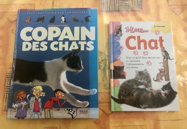 troc de troc lot 2 livres jeunesse sur les chats image 0