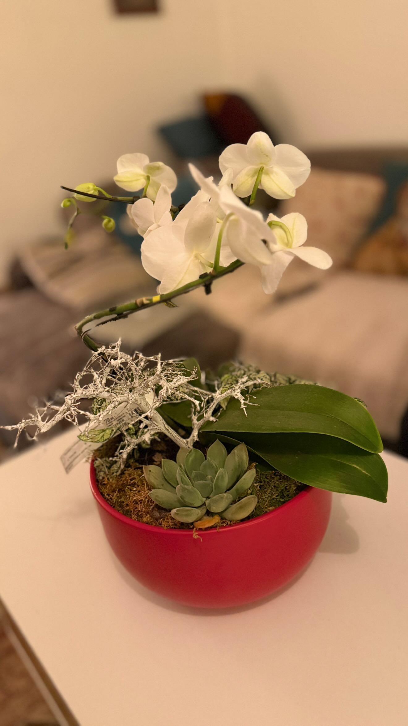 troc de troc grosse composition florale avec vrai orchidée image 1