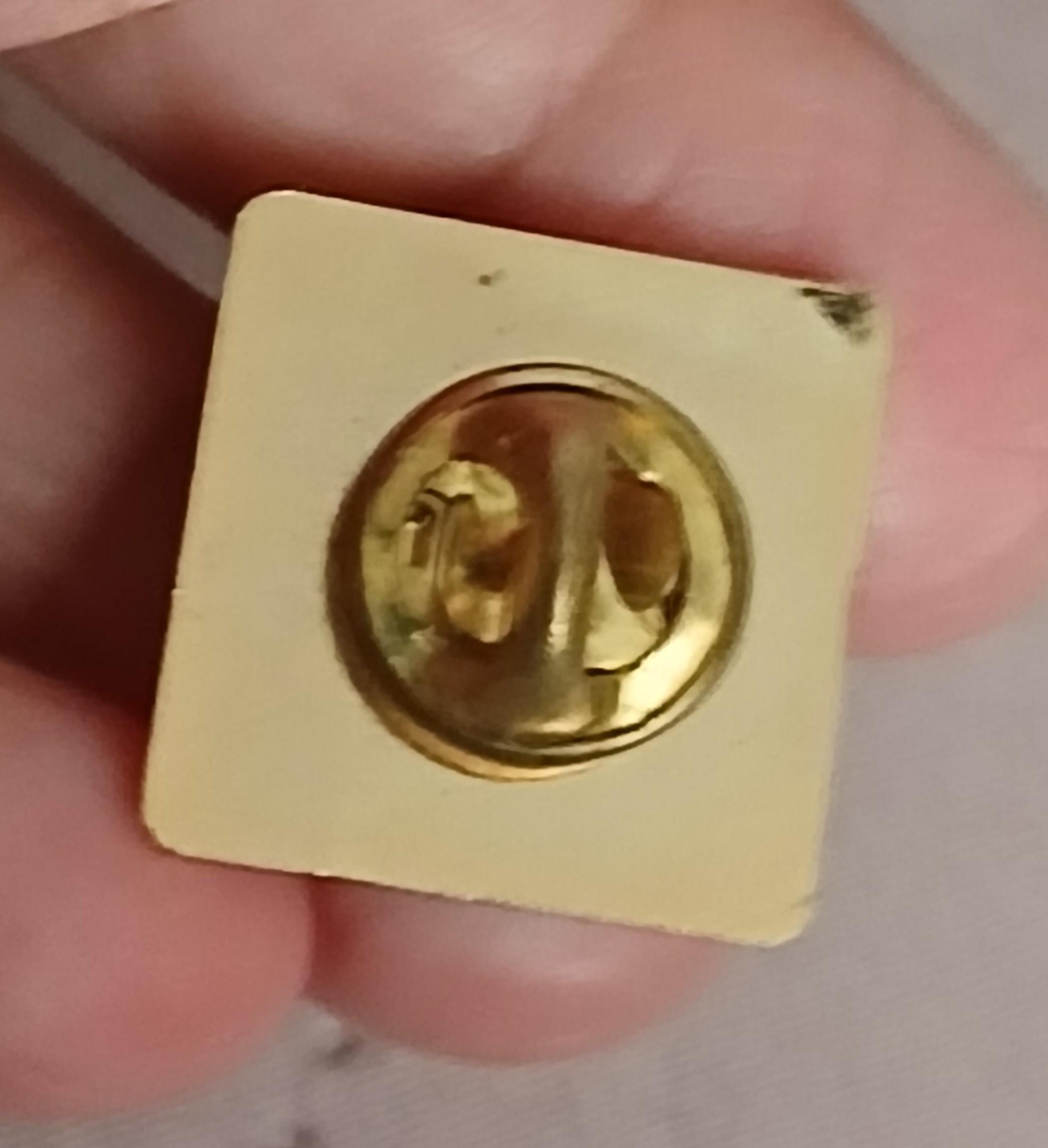 troc de troc un pins image 2