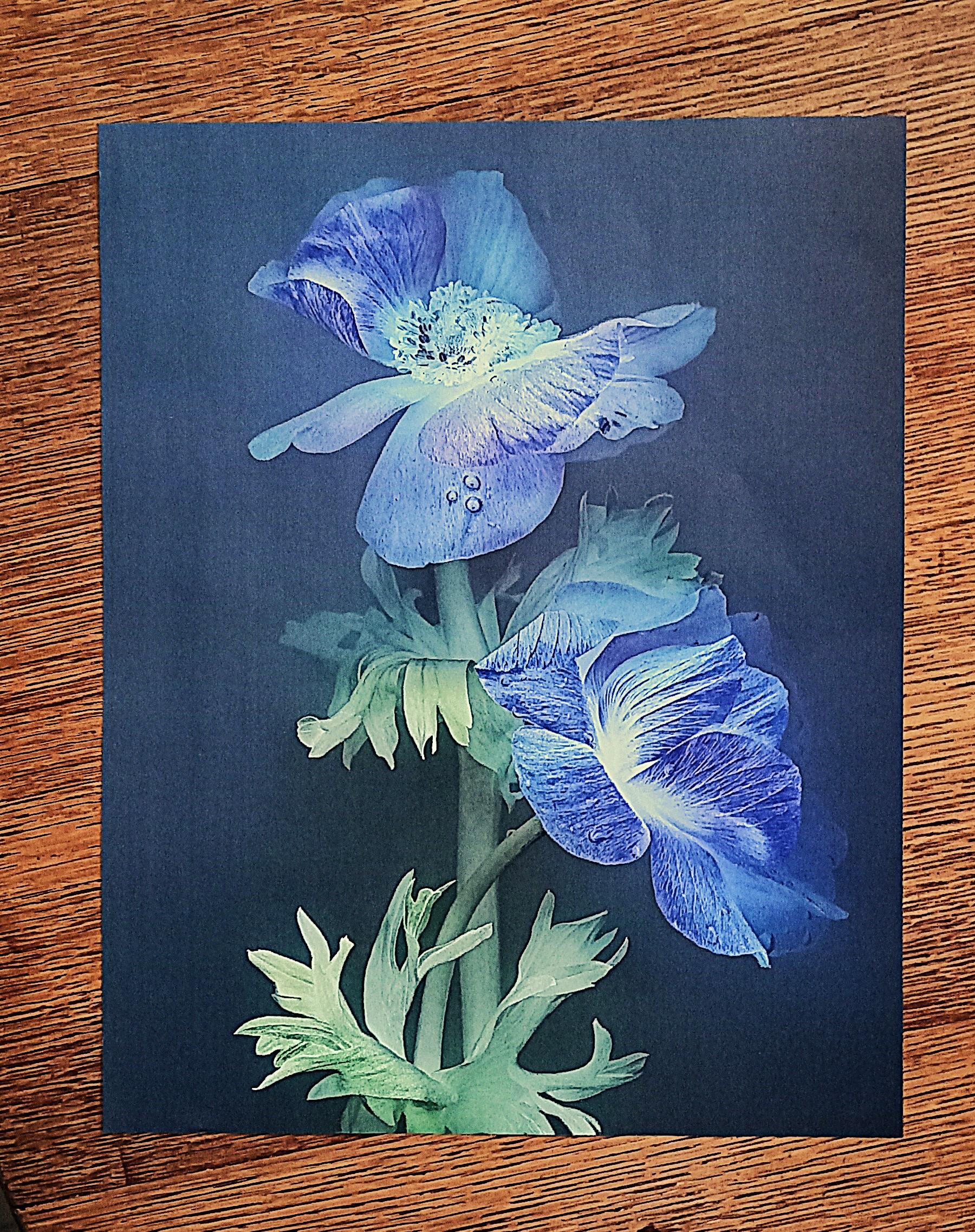 troc de troc affiche "les fleurs". image 0