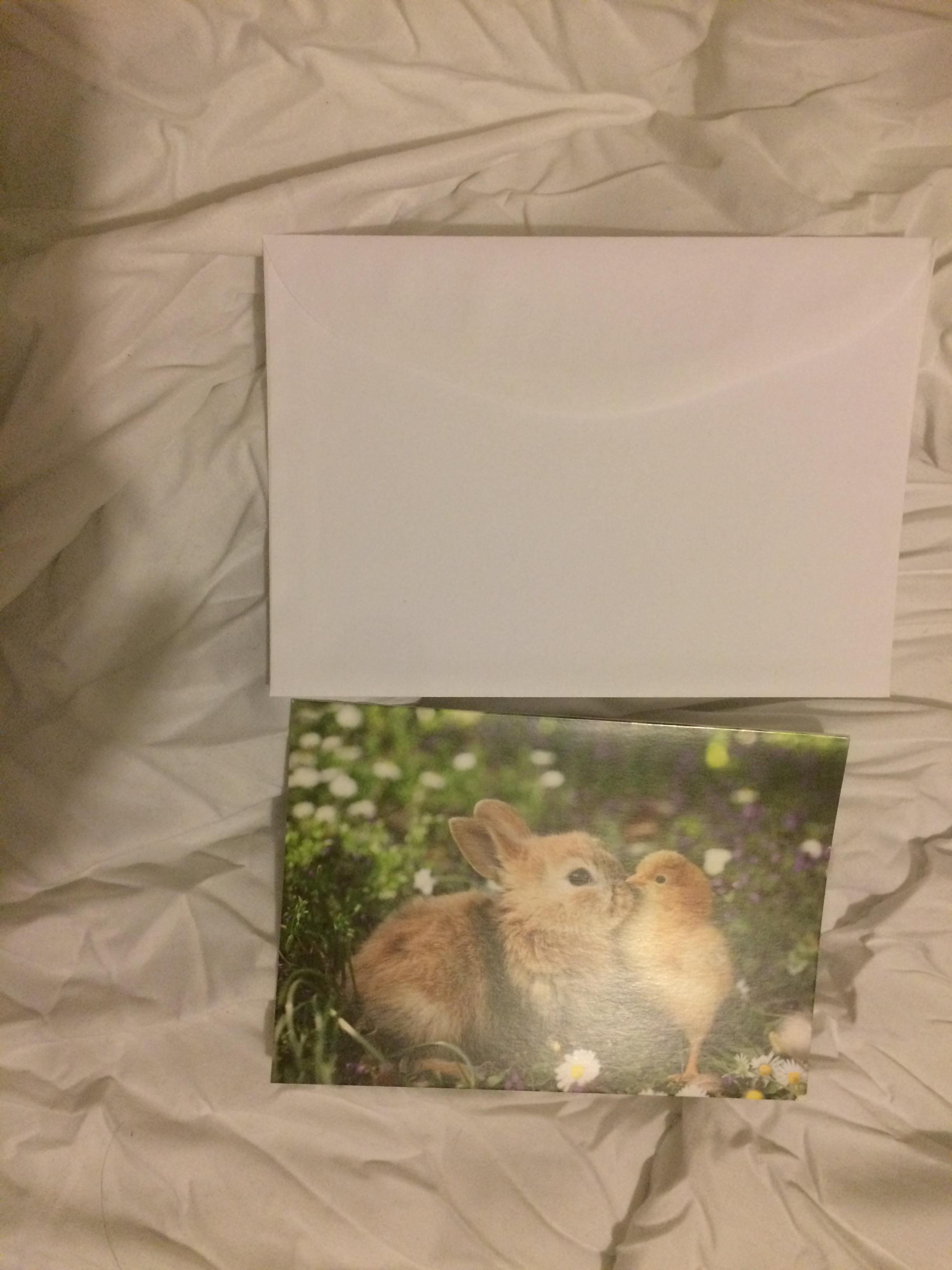 troc de troc carte bébé lapin & poussin et son enveloppe blanche image 1
