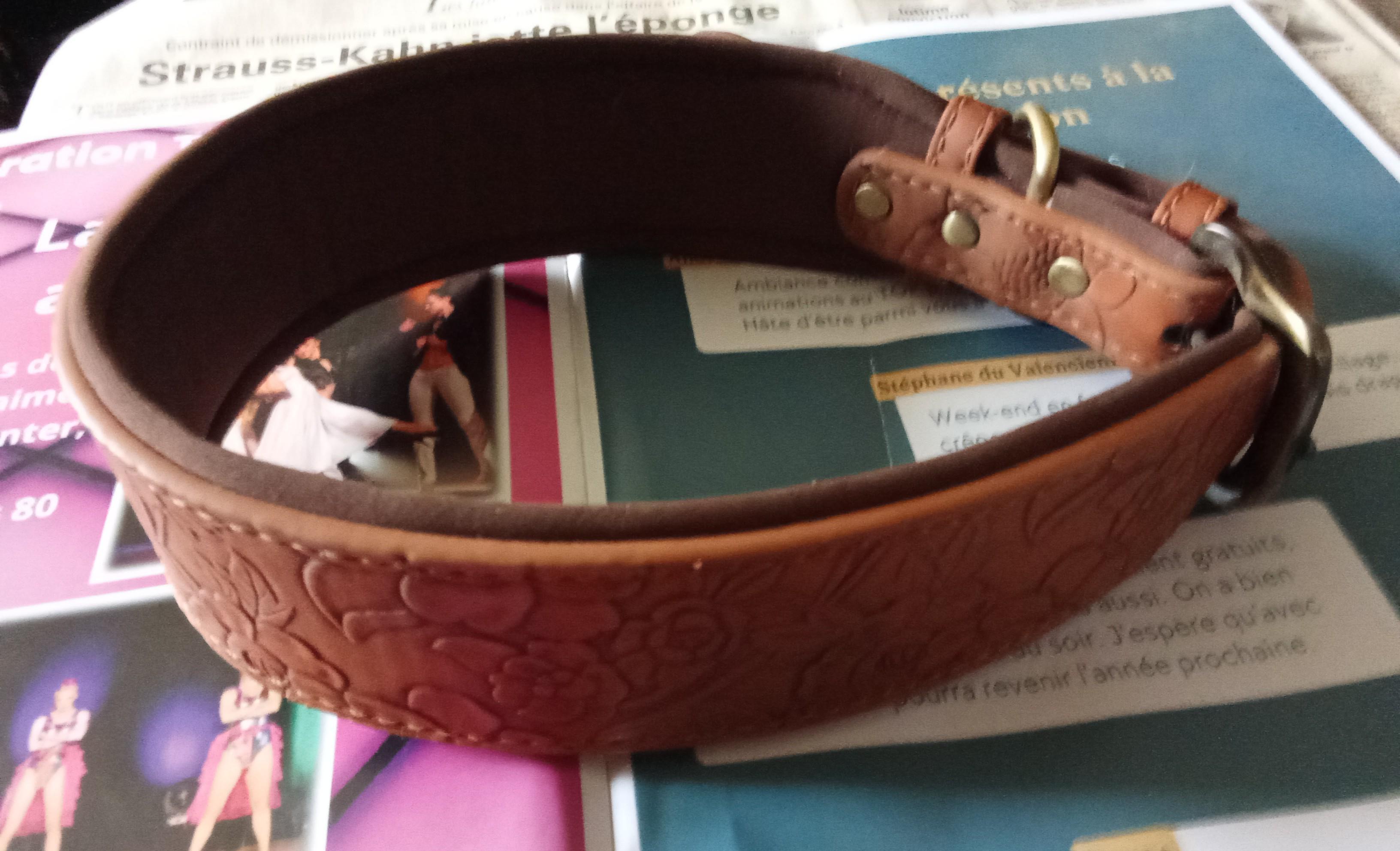 troc de troc collier pour grand chien neuf réserver fidjy image 0