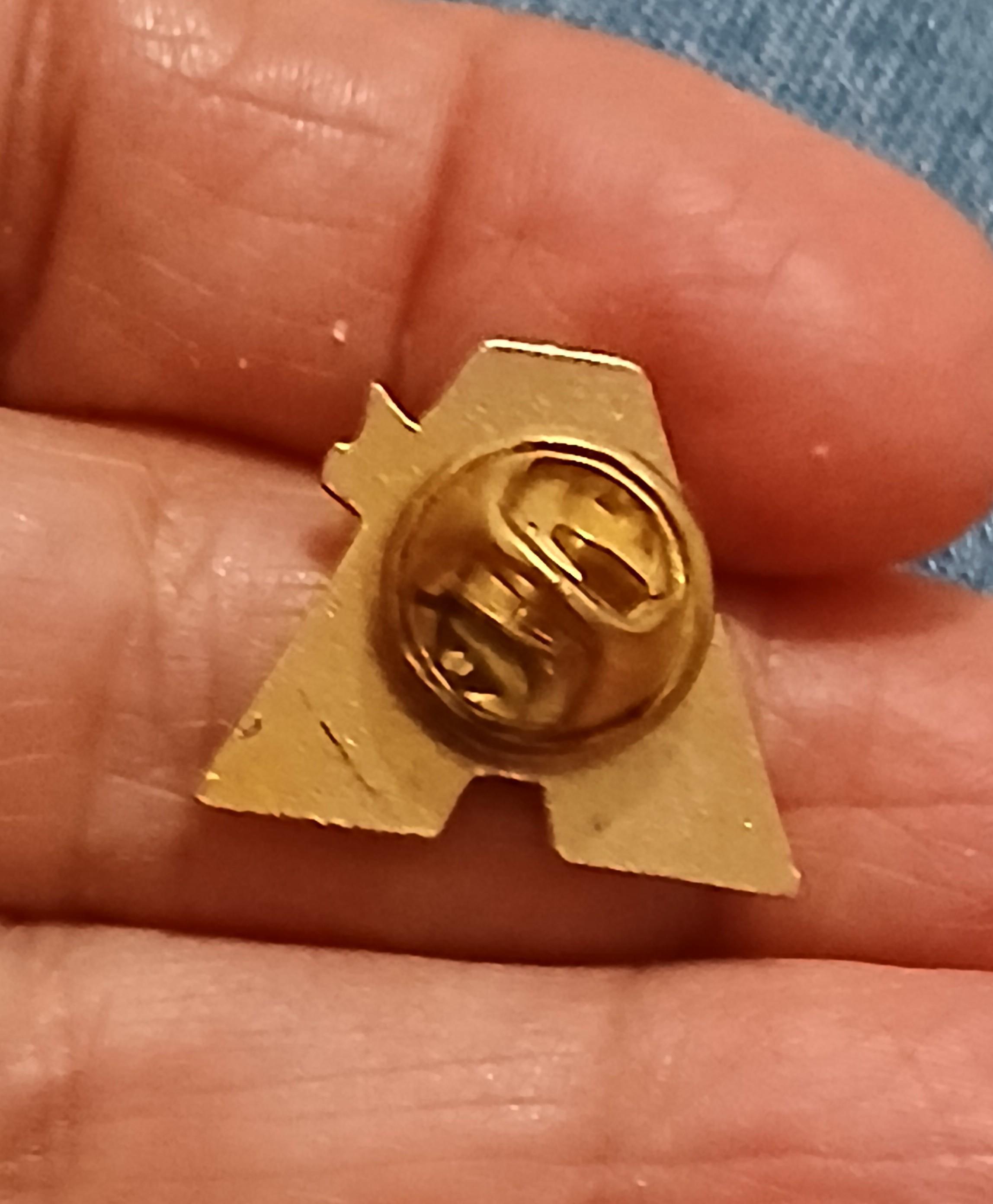 troc de troc un pins image 1