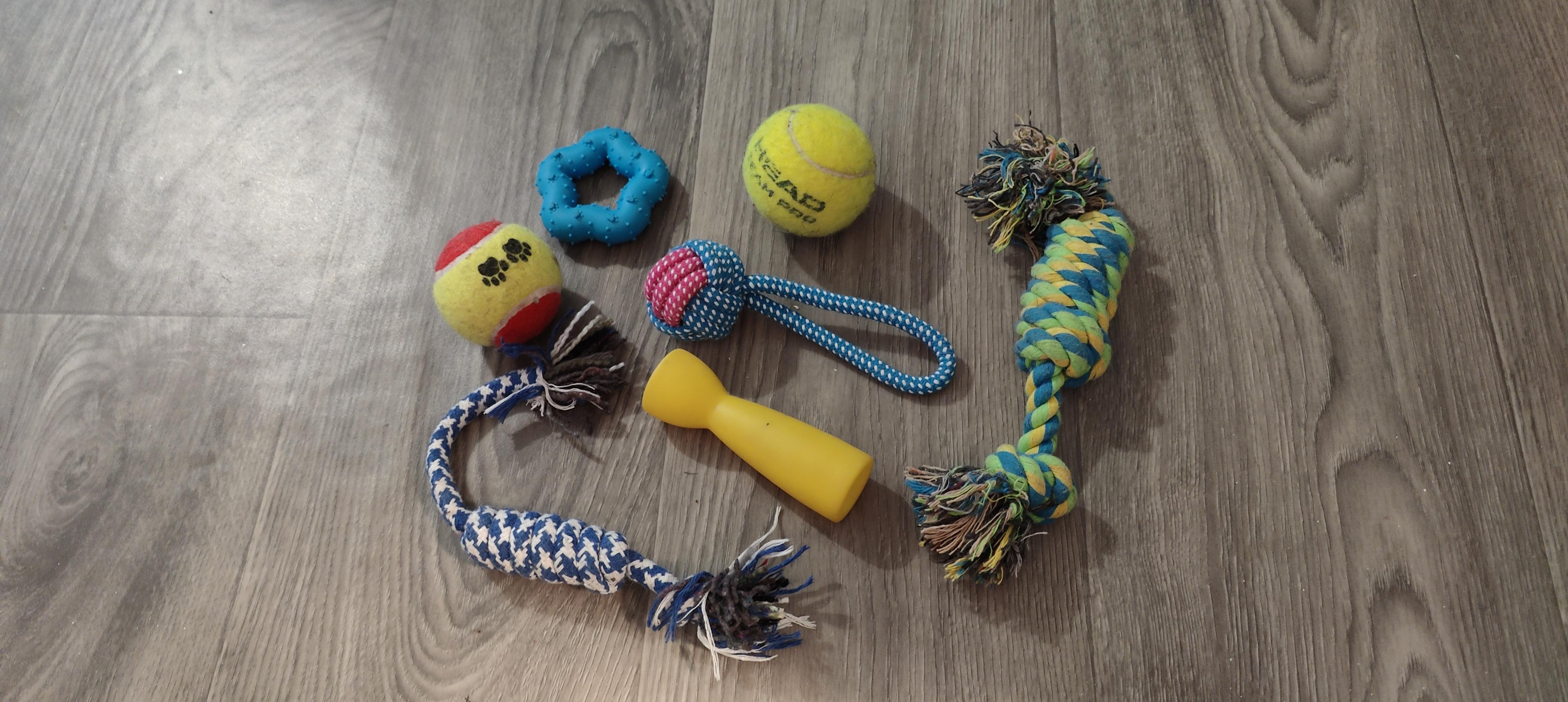 troc de troc jouet pour chien image 0