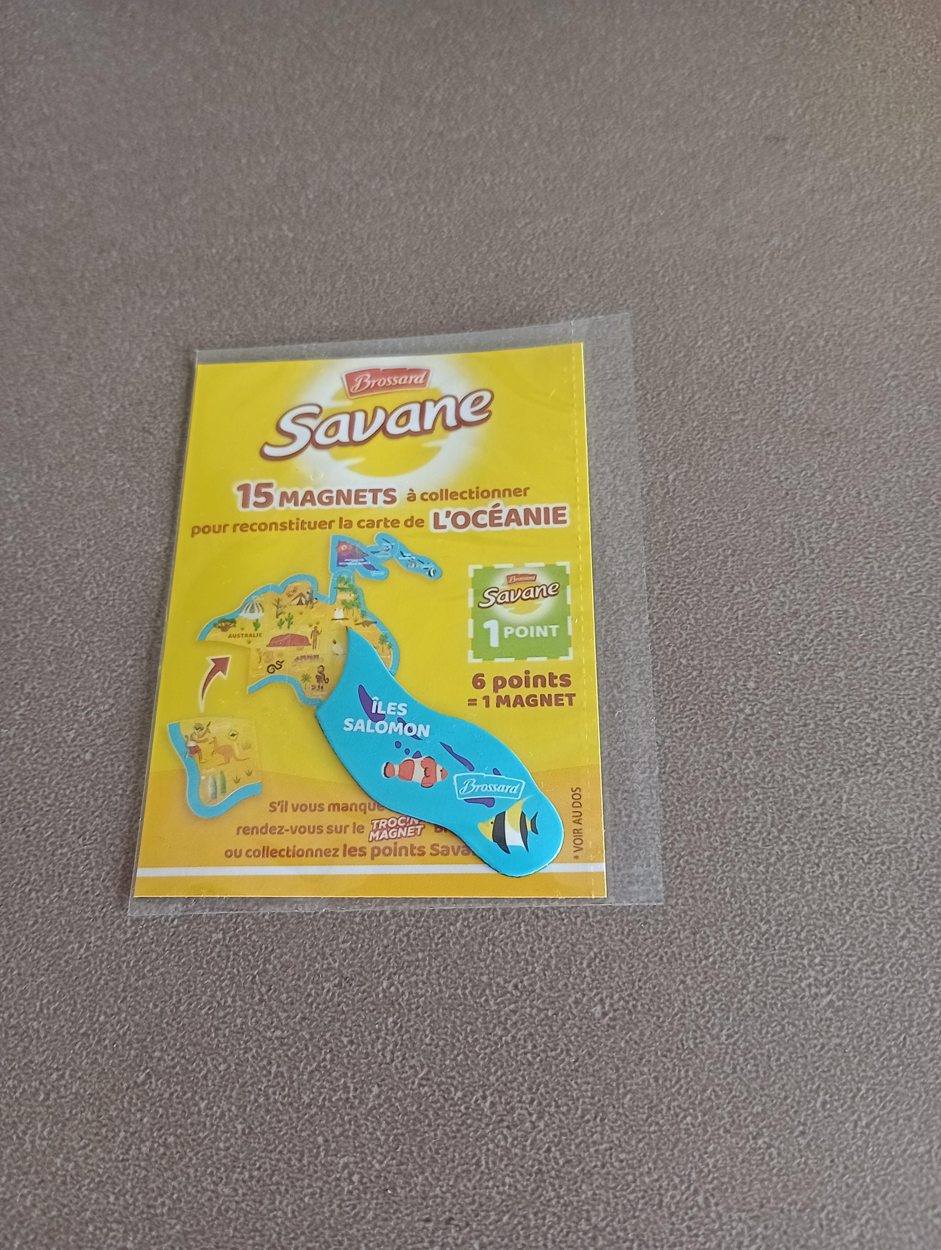 troc de troc magnet savane brossard image 0