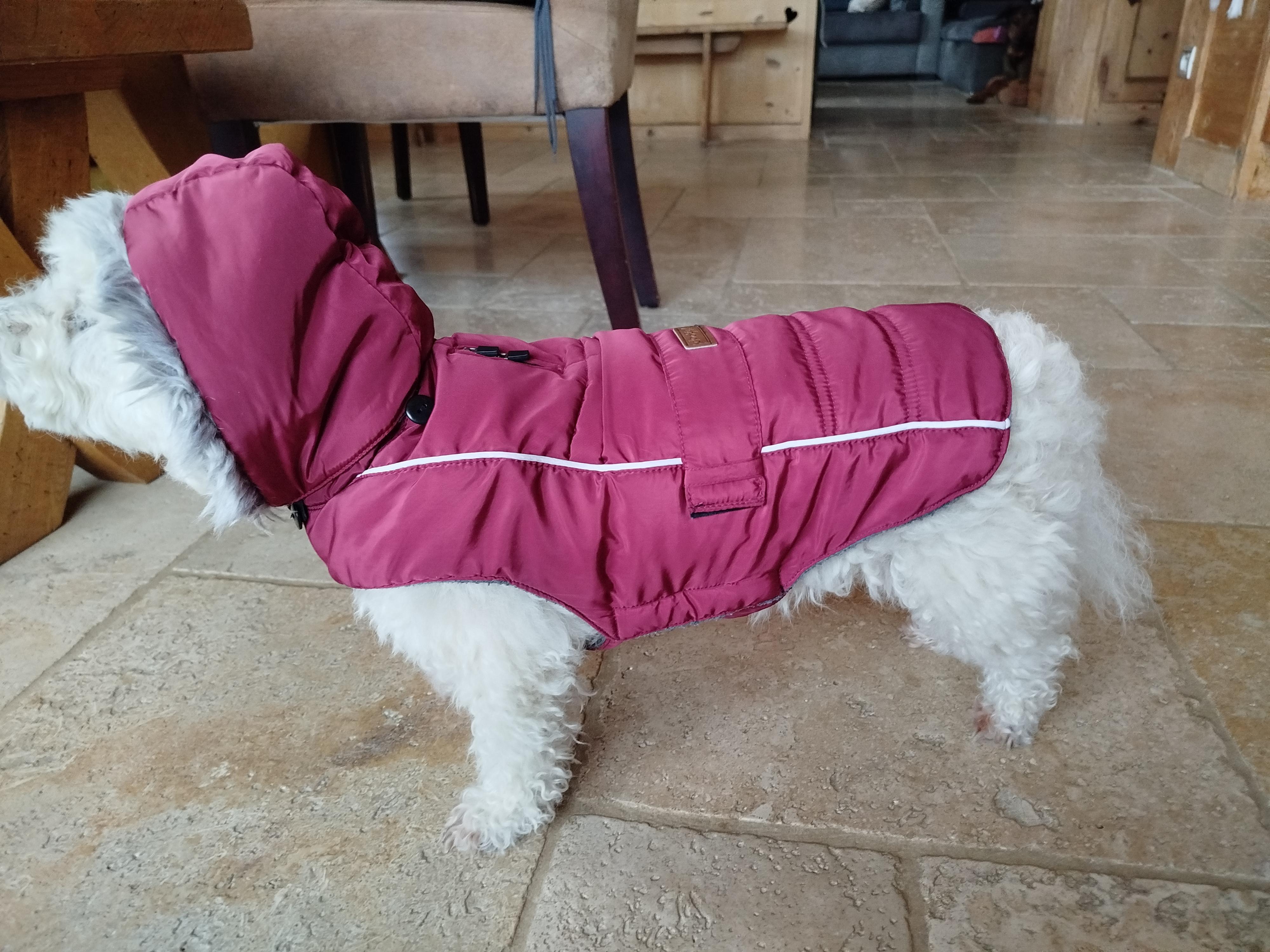 troc de troc manteau hiver image 2