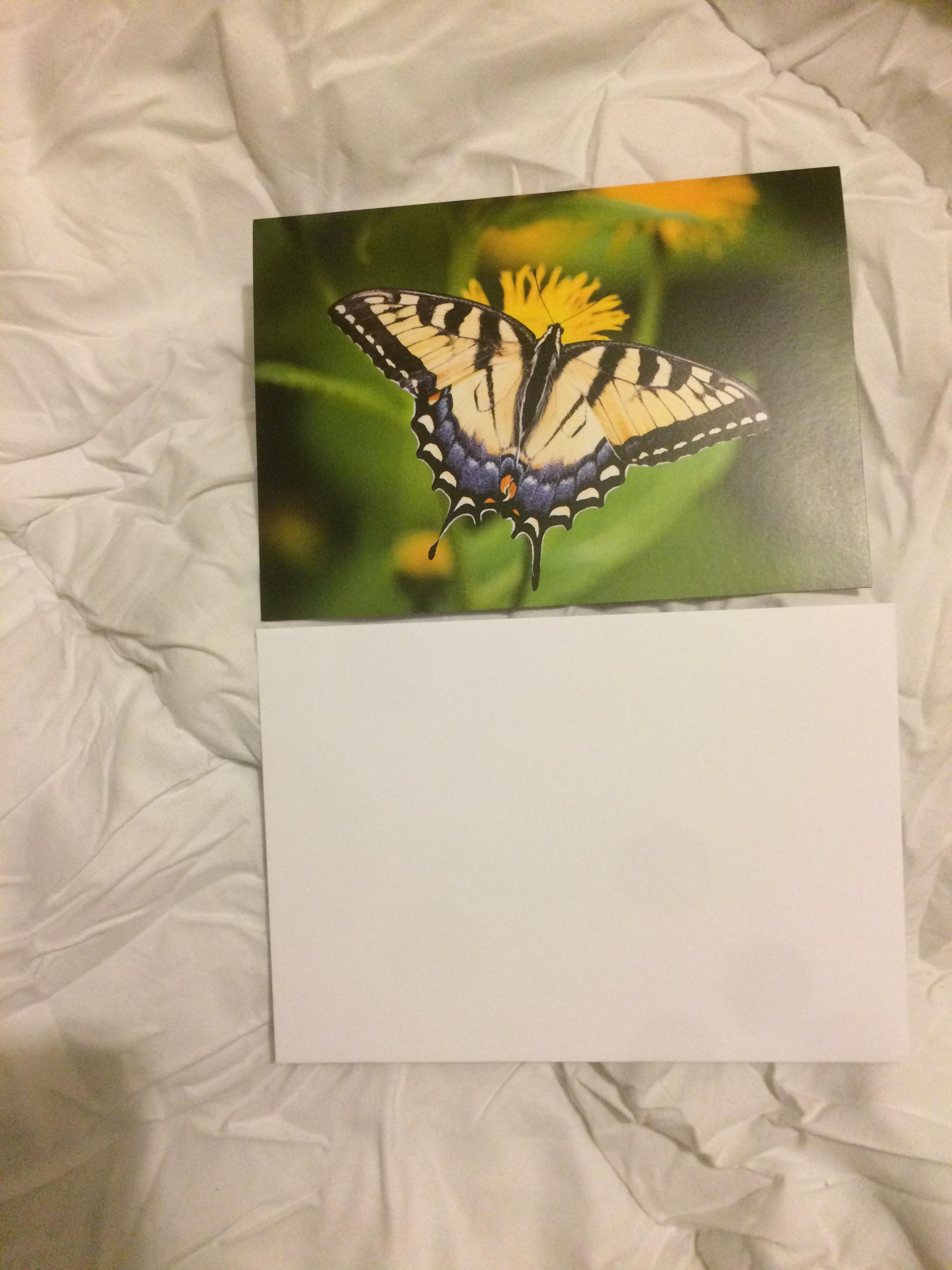 troc de troc grande carte papillon butinant & son enveloppe blanche image 1