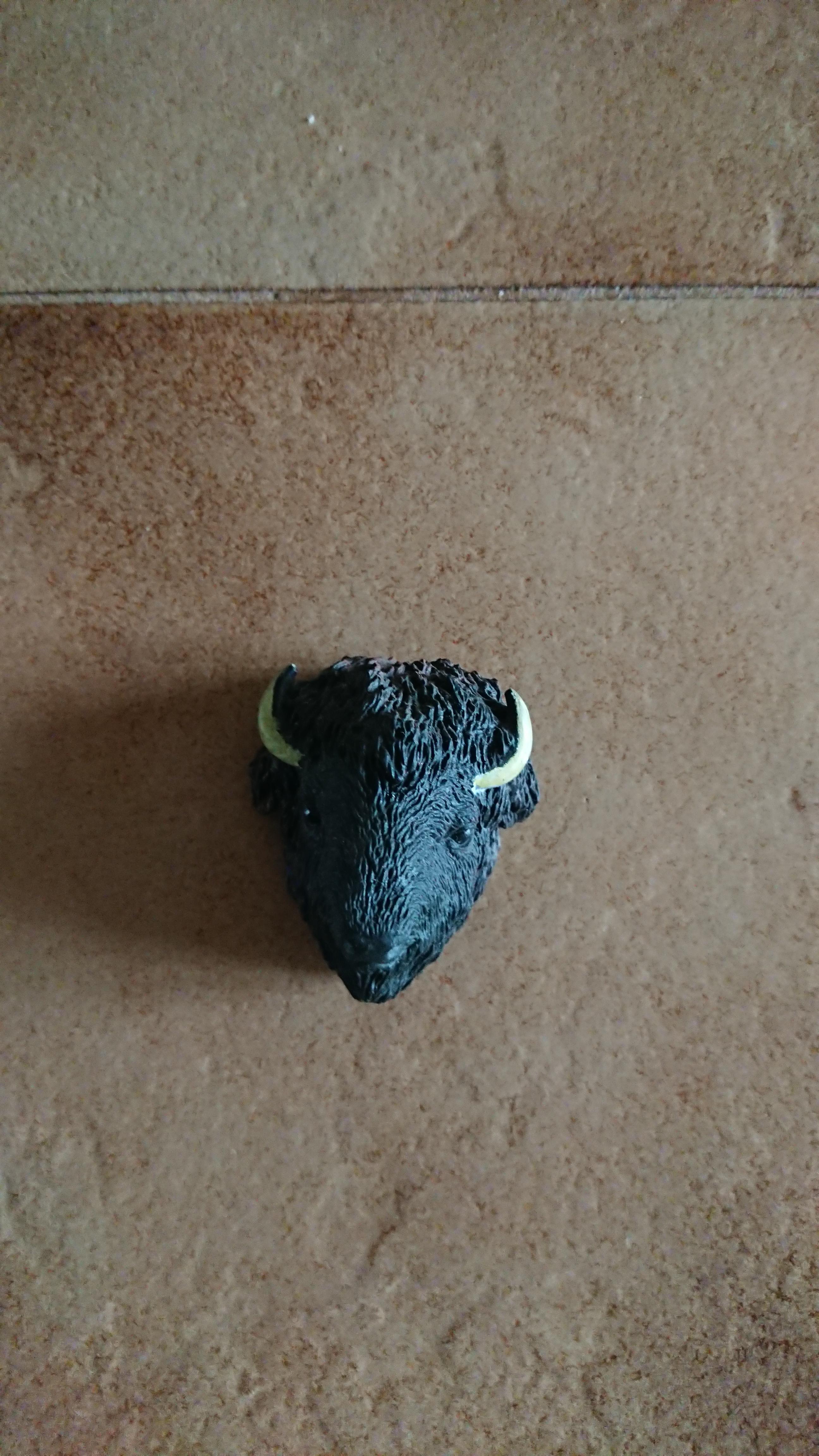 troc de troc magnet tête de bison image 0