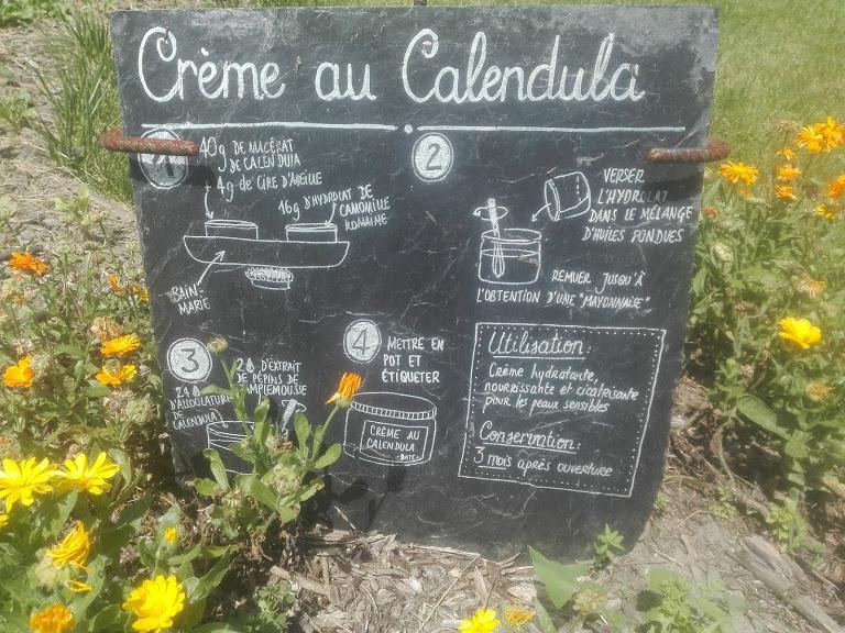 troc de troc conseil personnalisé herboristerie image 2