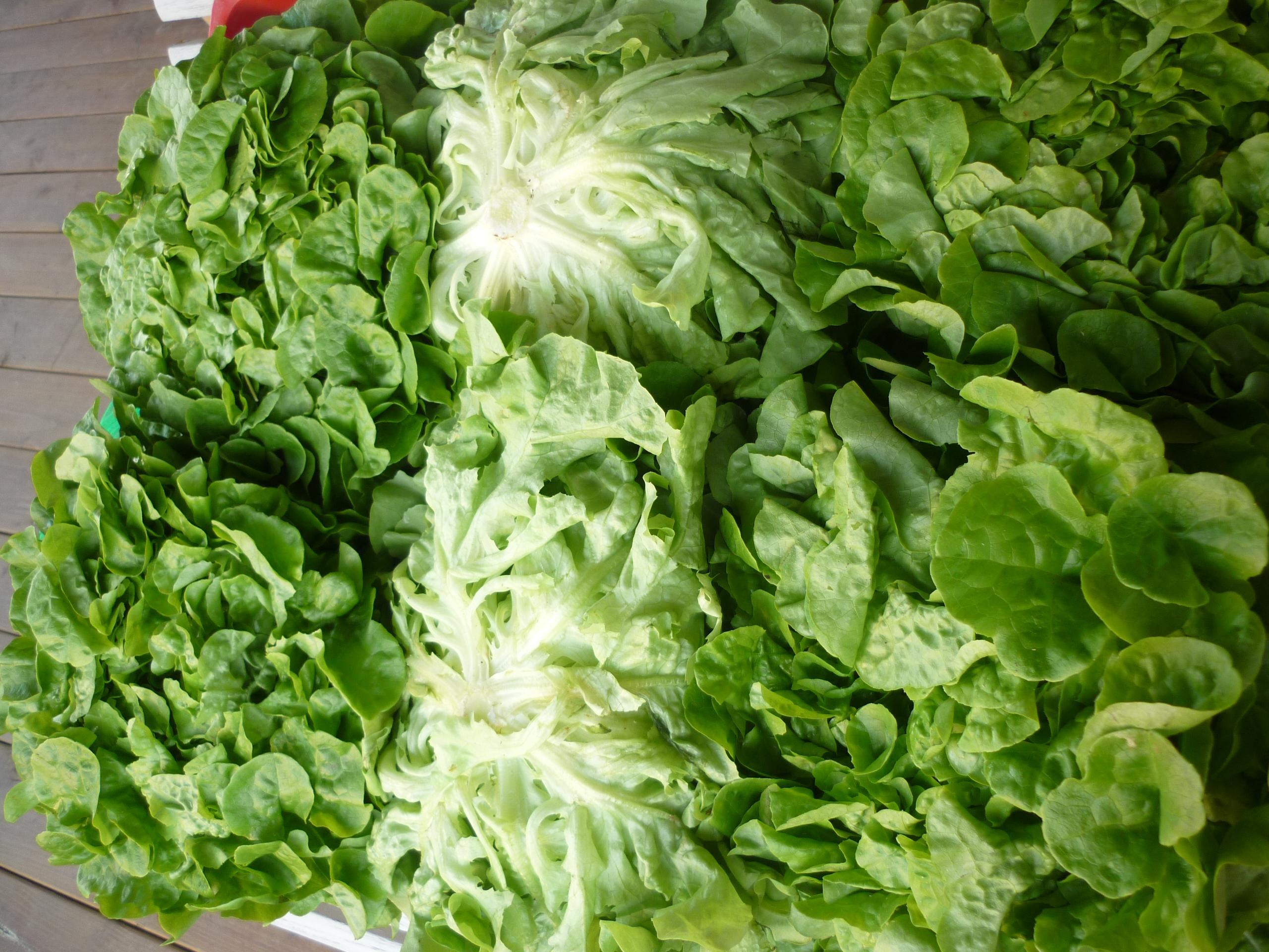 troc de troc echange légumes contre oeufs image 0